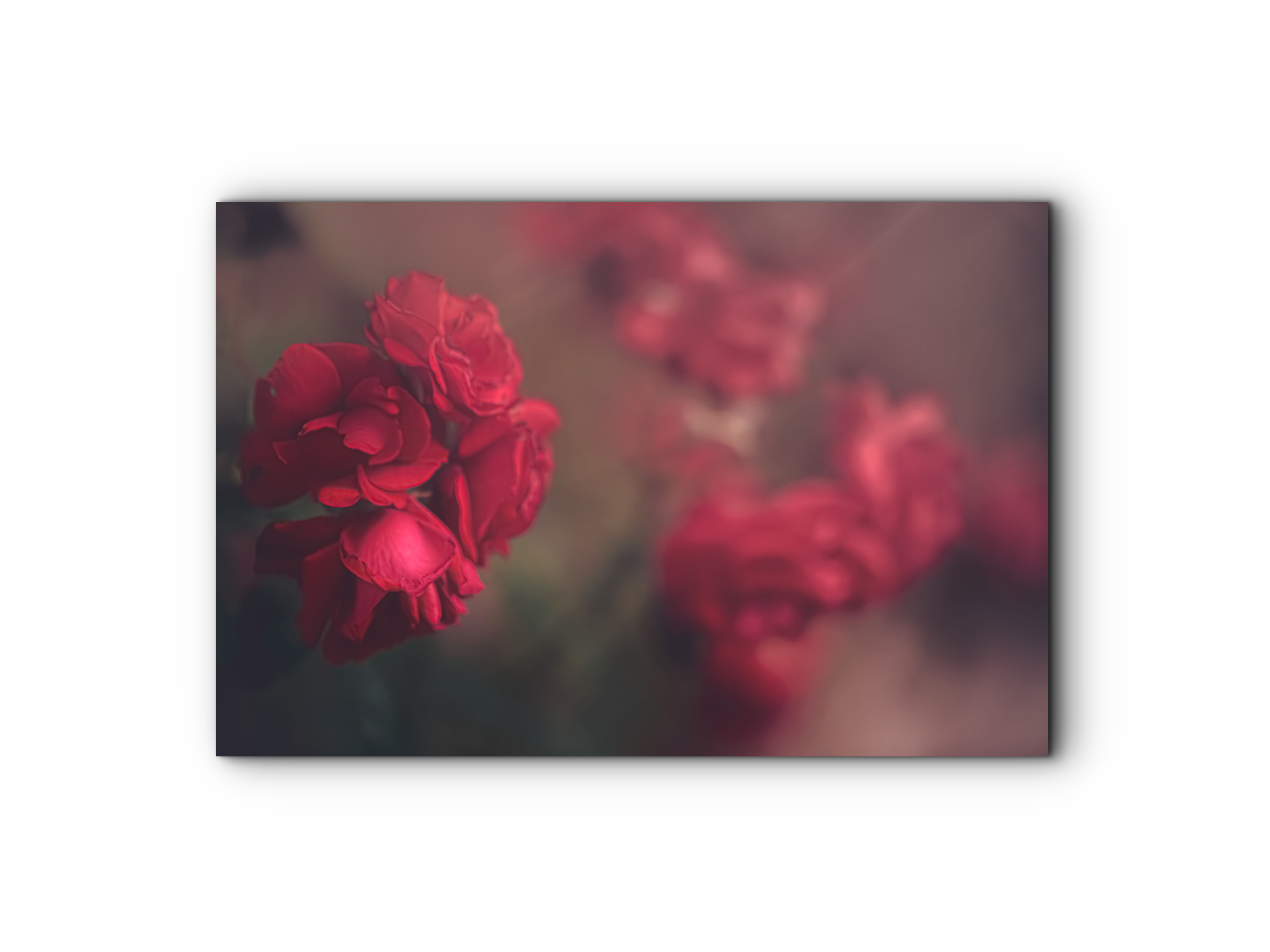 121 | Valentines | 10K Resolution HQ | Open Edition