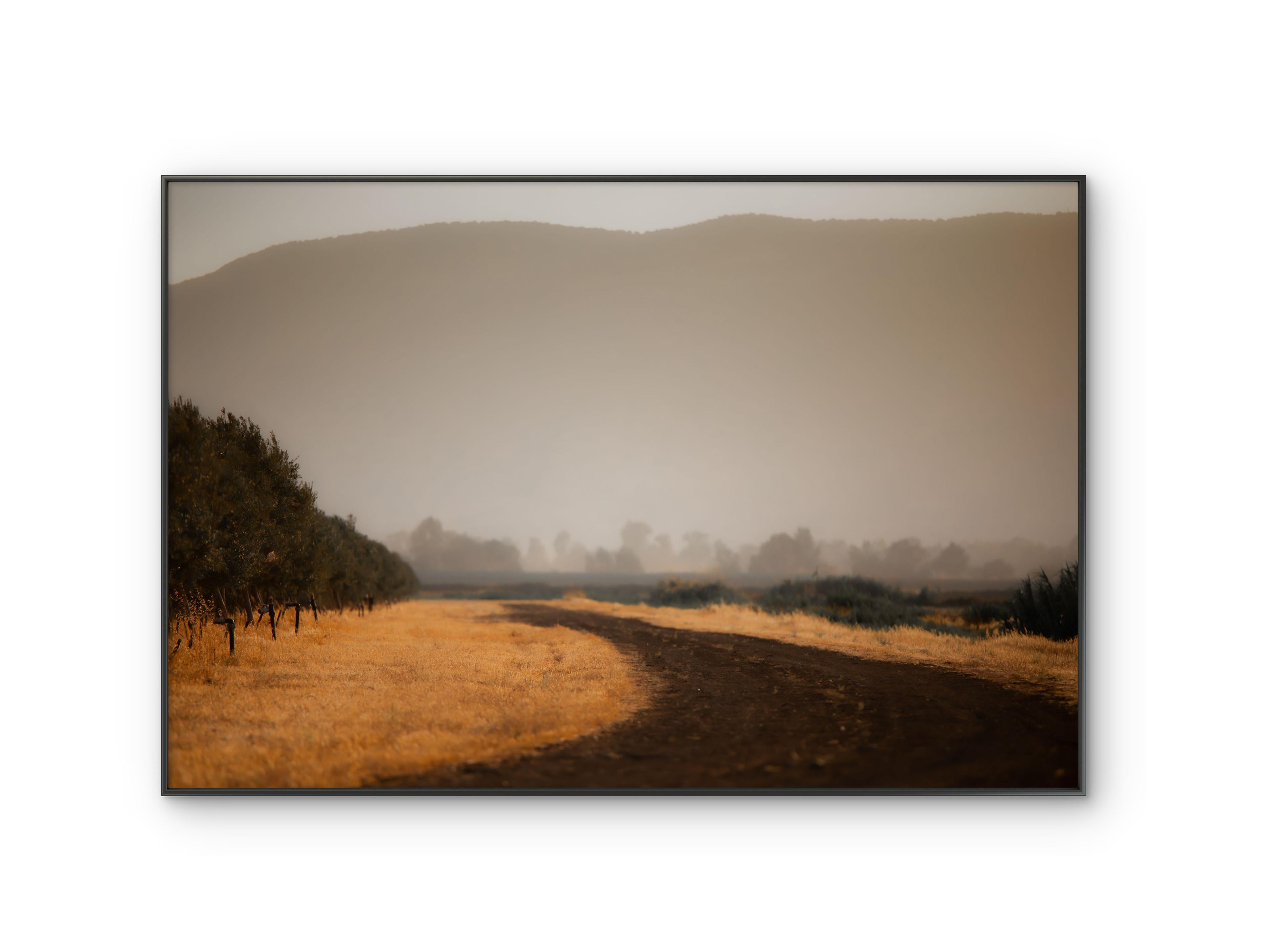 055 | Long Way Home | 5K Resolution HQ | Open Edition