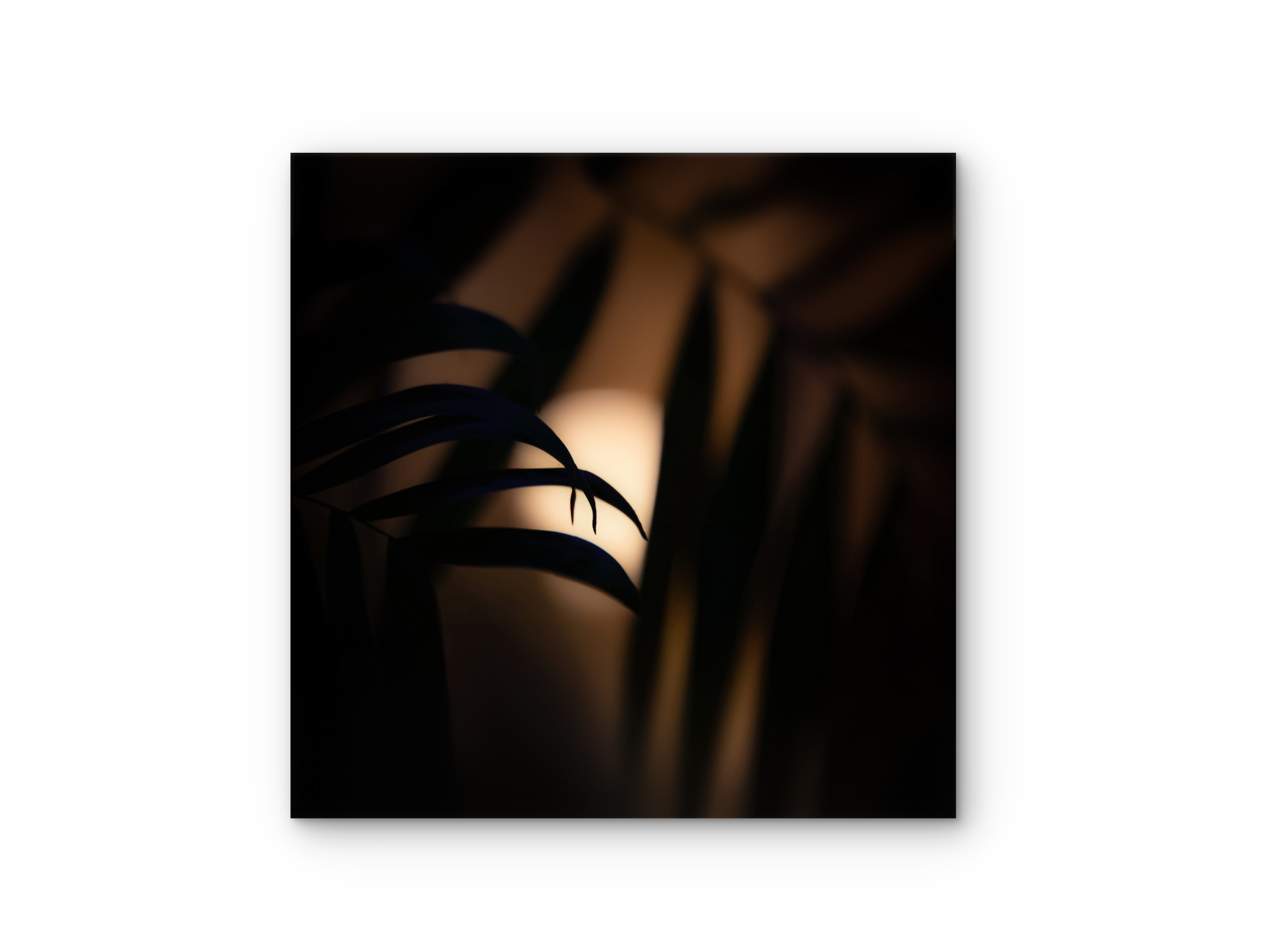 107 | Hawaii | 5K Resolution HQ | Open Edition