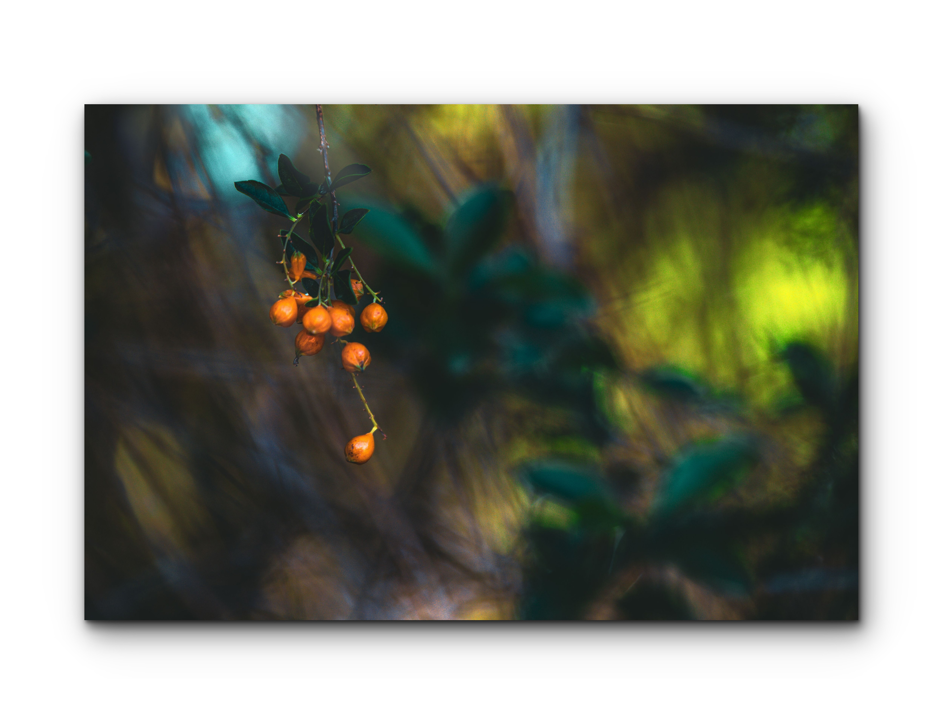 093 | Floral brush strokes | 5K Resolution HQ | Open Edition