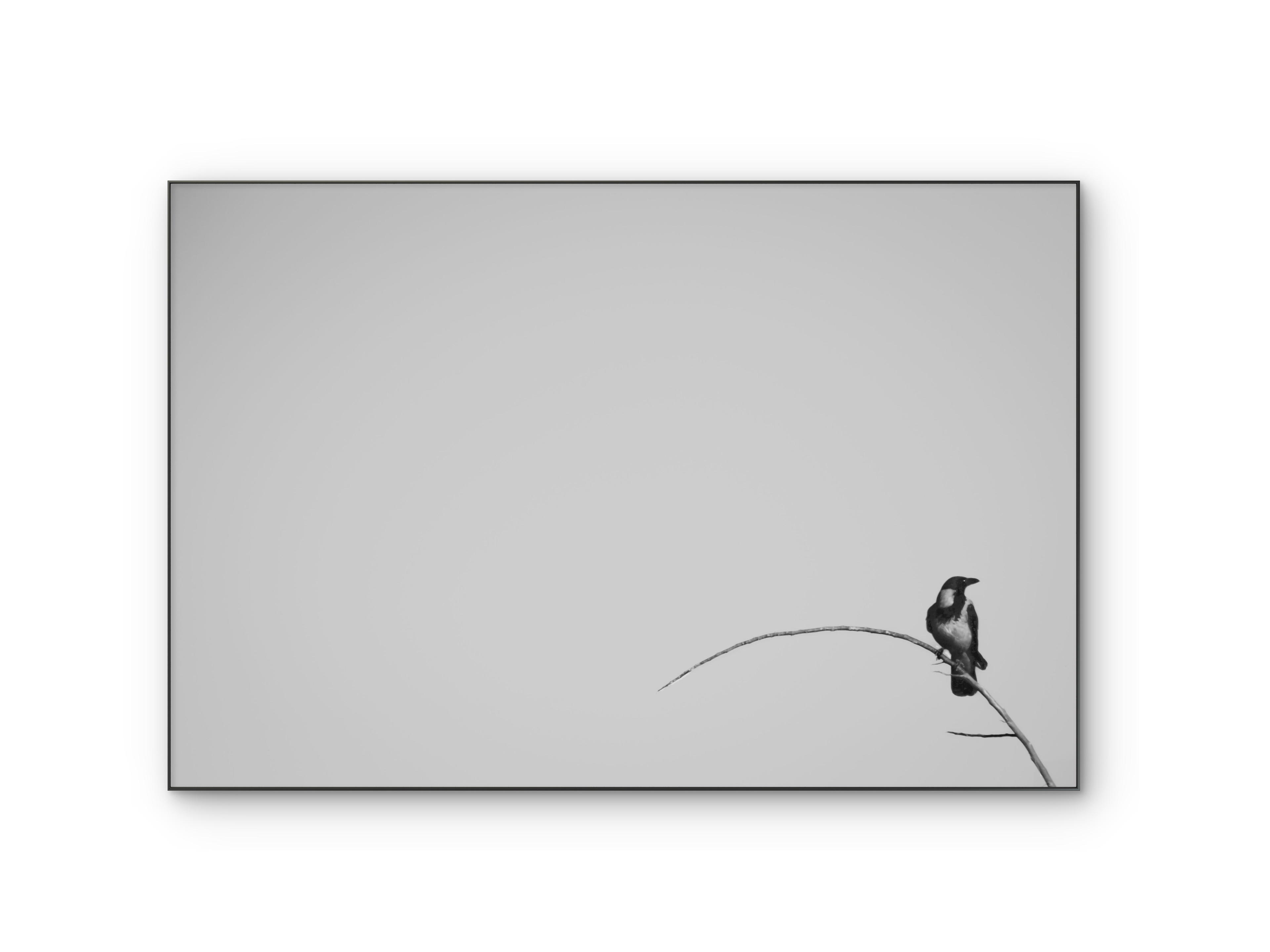 037 | Floral hue| 5K Resolution HQ | Open Edition