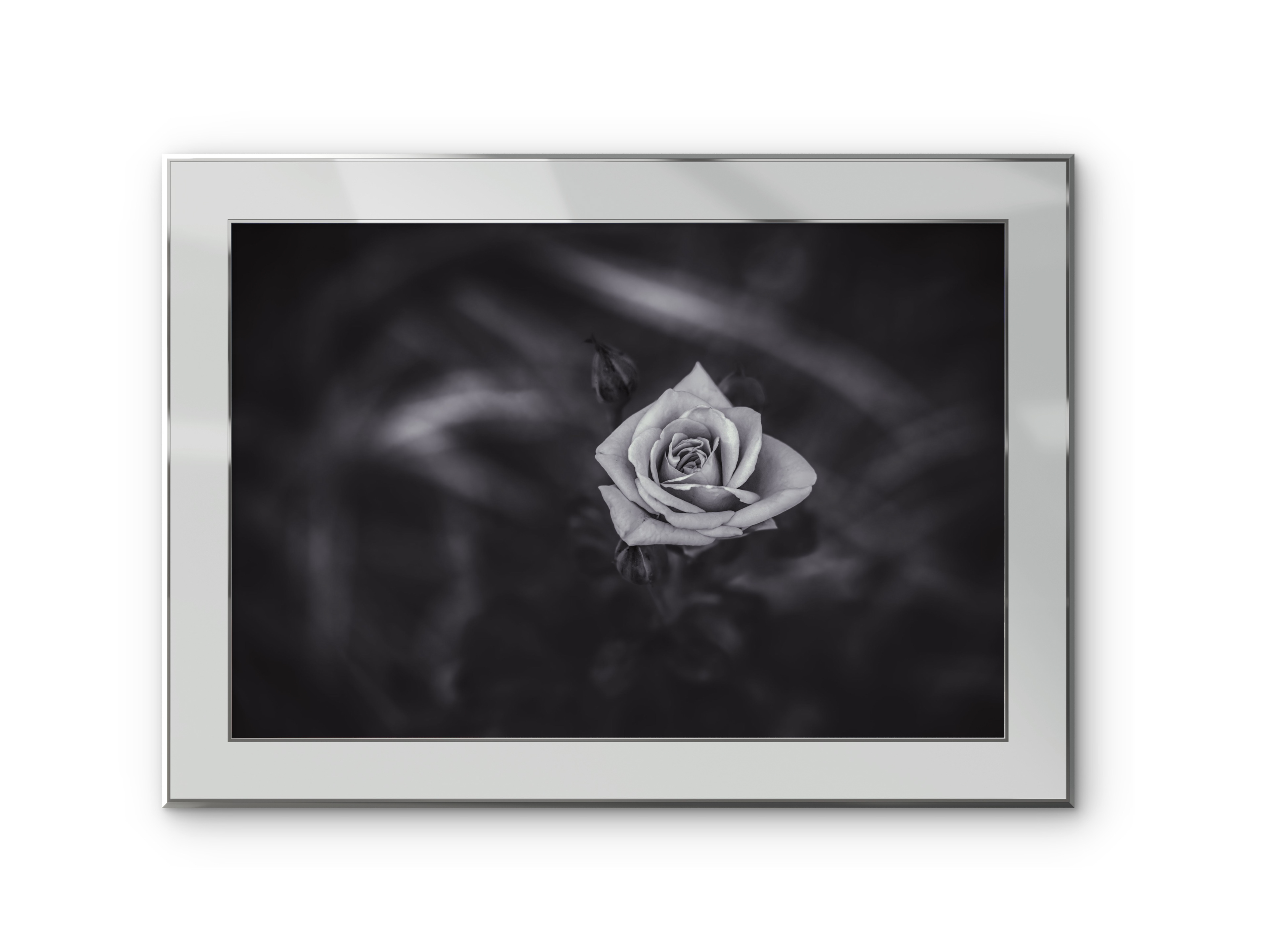 036| Floral hue| 5K Resolution HQ | Open Edition