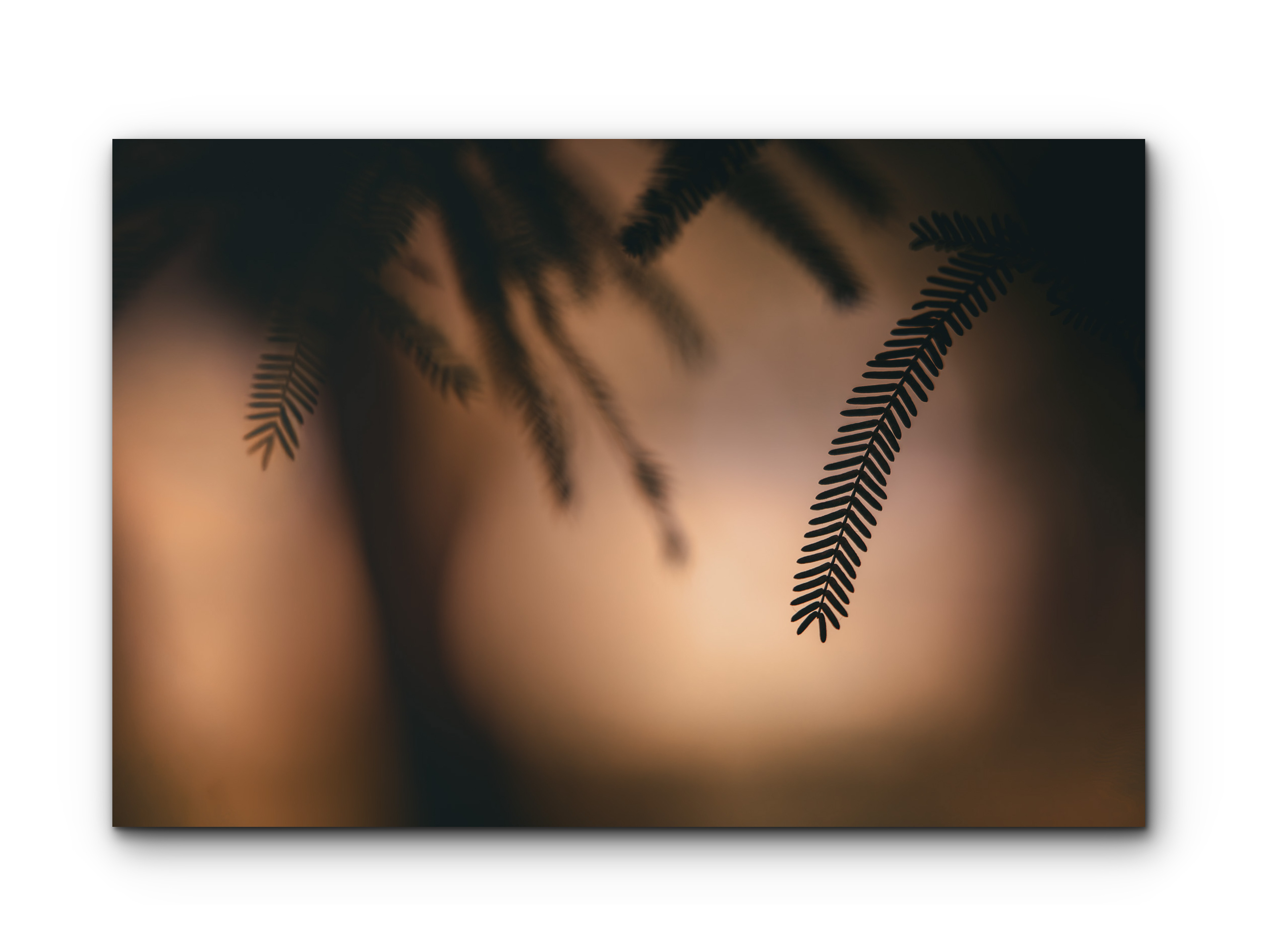 065| Fine Foliage | 5K Resolution HQ | Open Edition