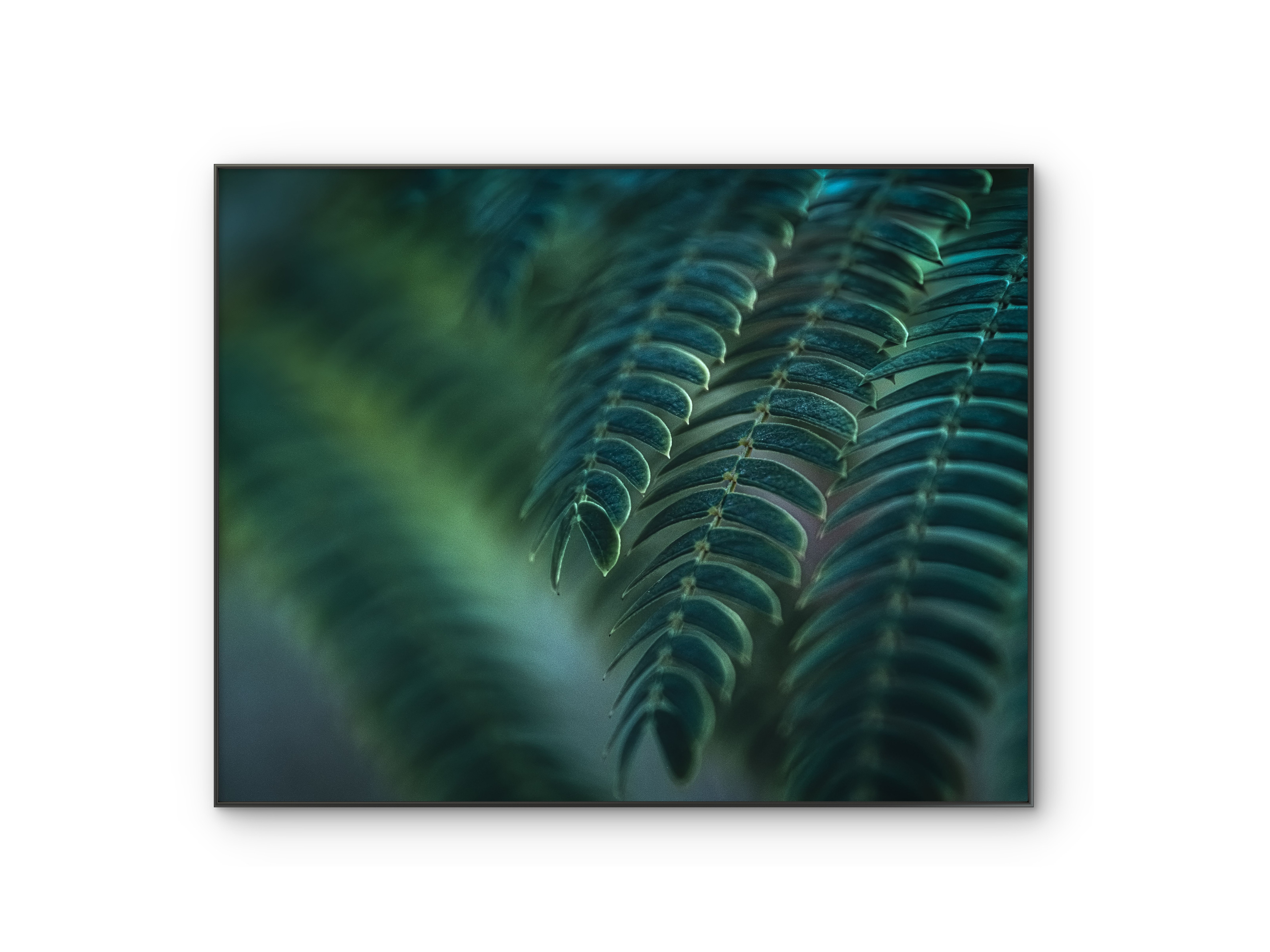 046 | Greenery | 5K Resolution HQ | Open Edition