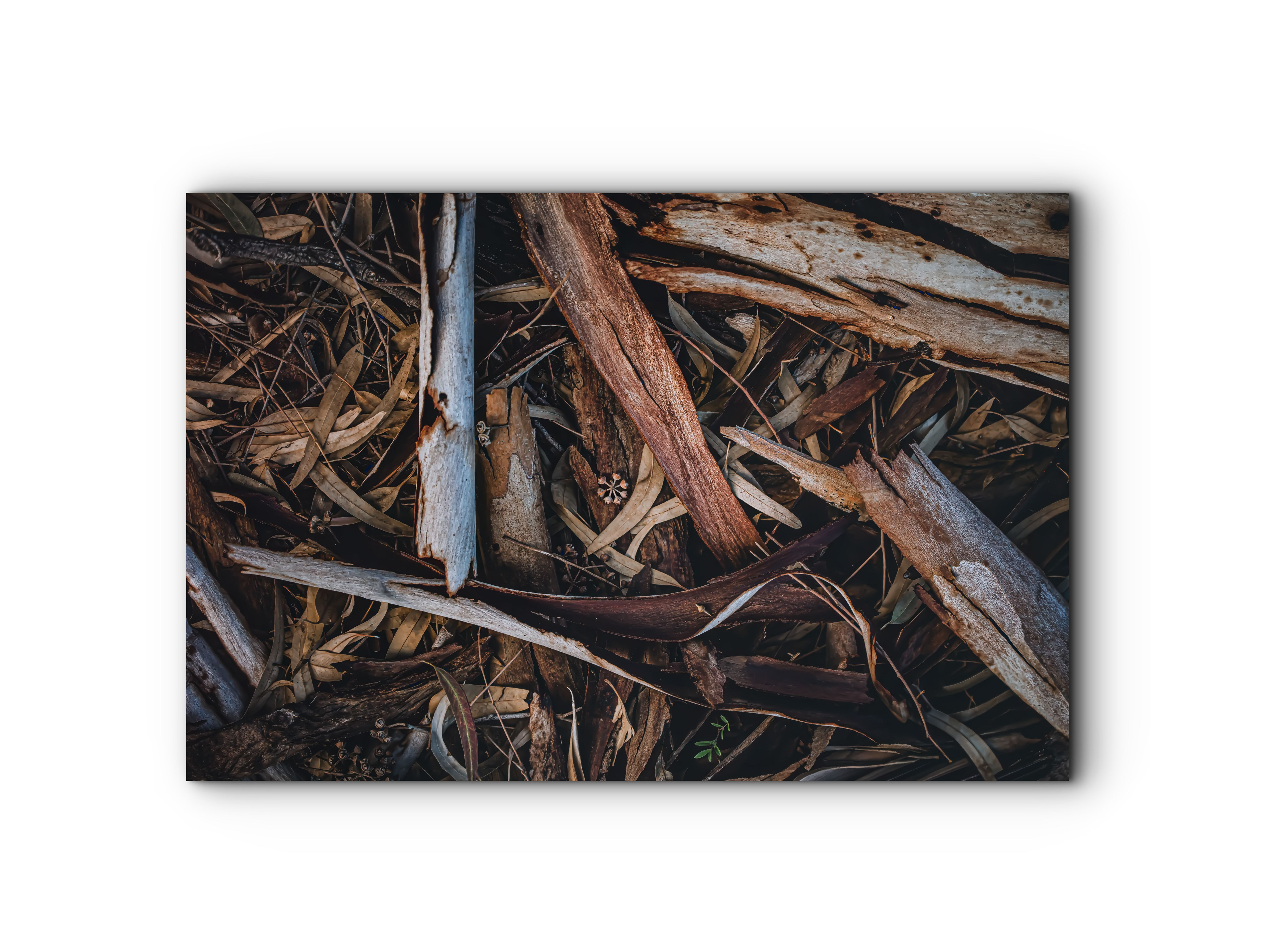 0124 | Center of Attention  | 5K Resolution HQ | Open Edition