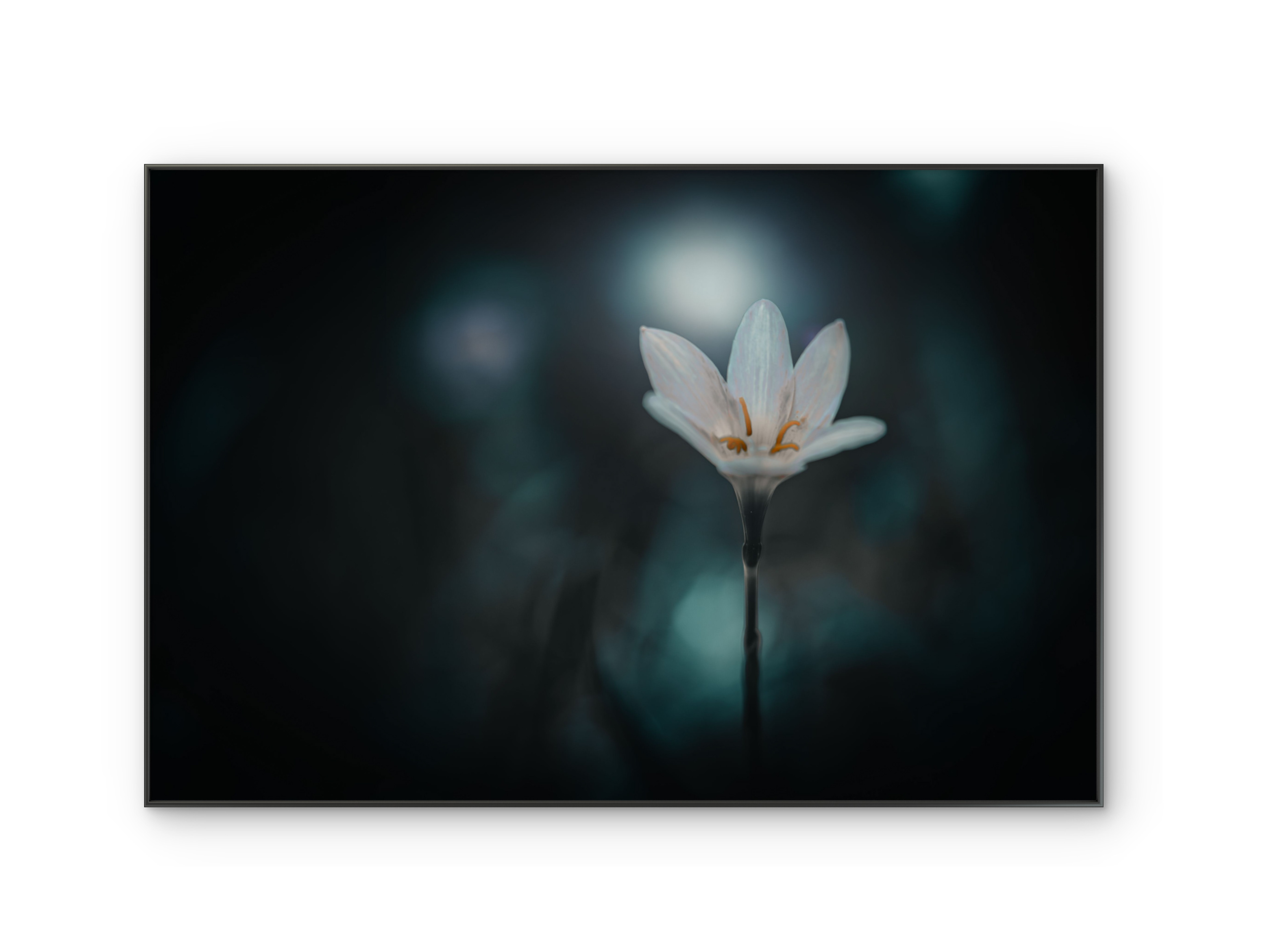 045 | Dawn Light | 10K Resolution HQ | Open Edition