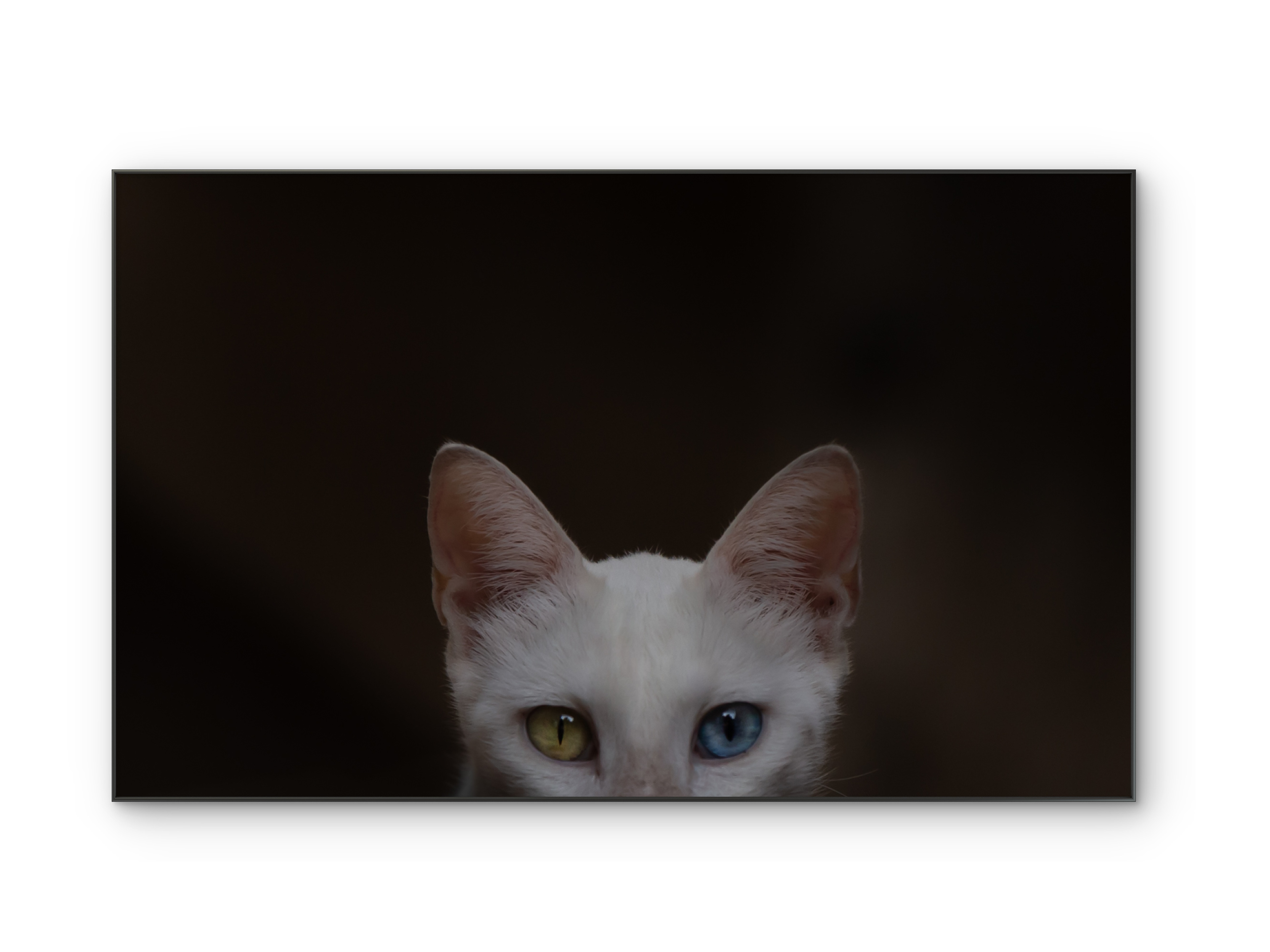 013 | Peep | 5K Resolution HQ | Open Edition