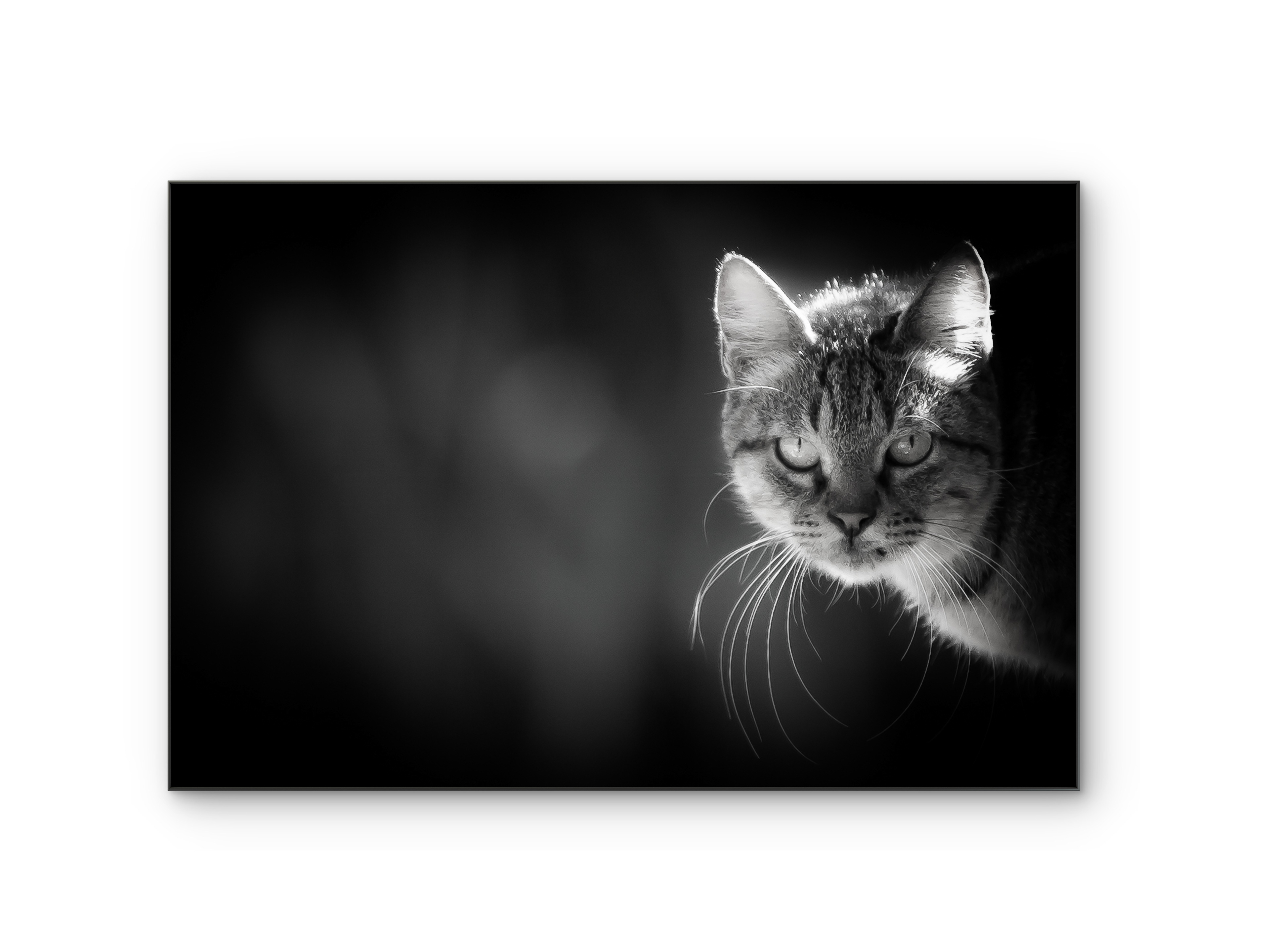 053 | I See You | 5K Resolution HQ | Open Edition