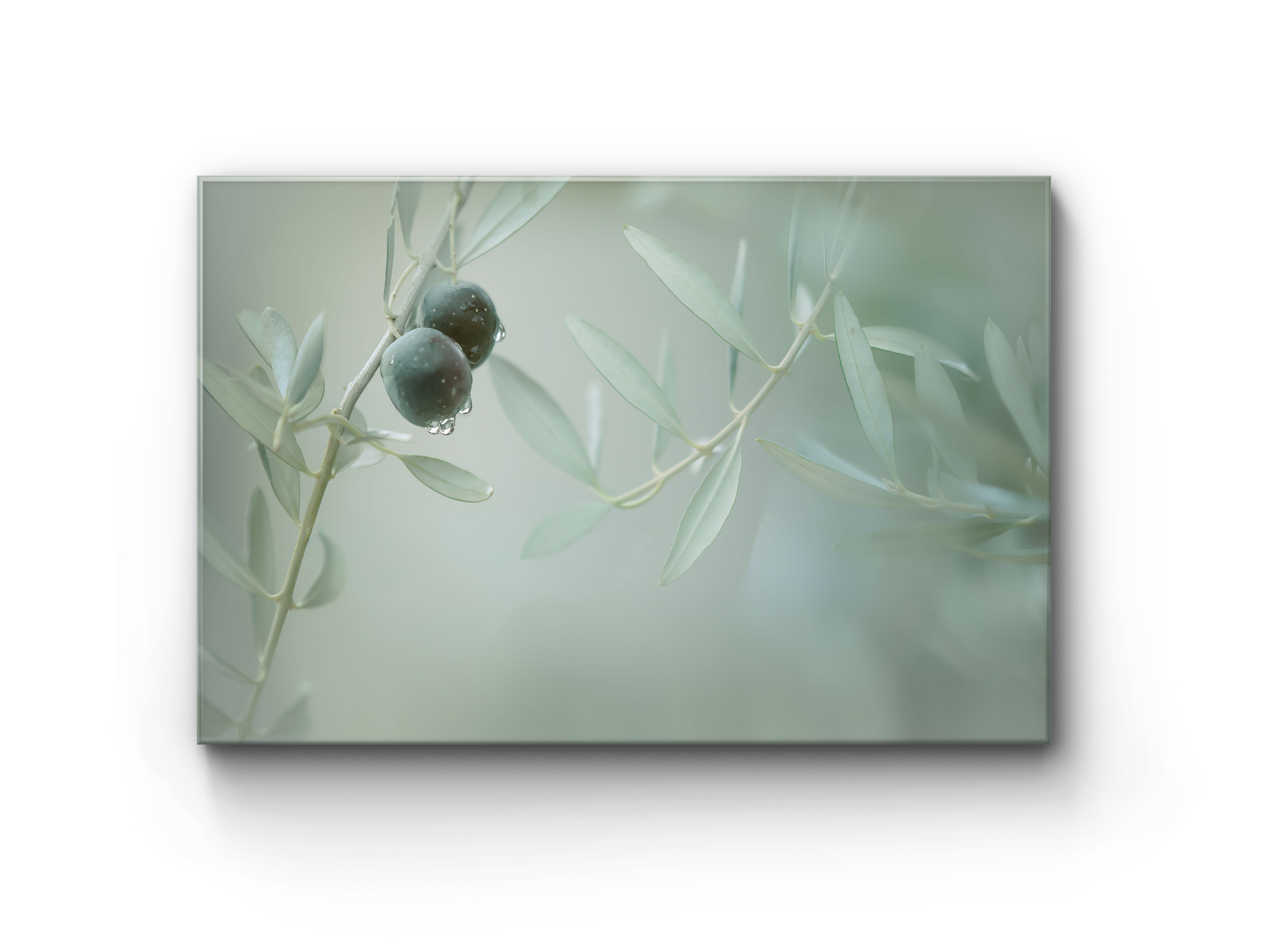 092 | Olive Green | 5K Resolution HQ | Open Edition