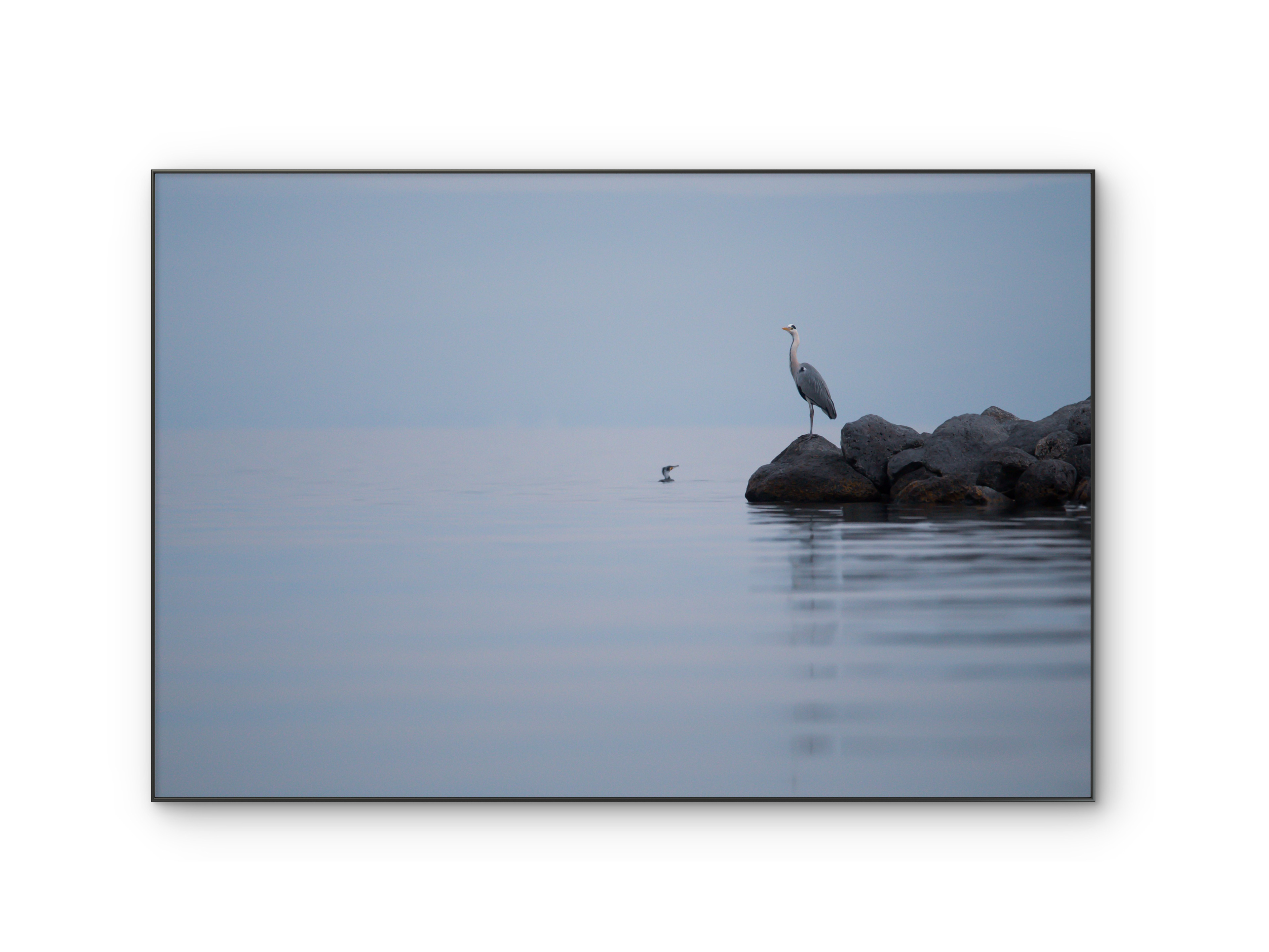 082 | Learning to Swim | 5K Resolution HQ | Open Edition