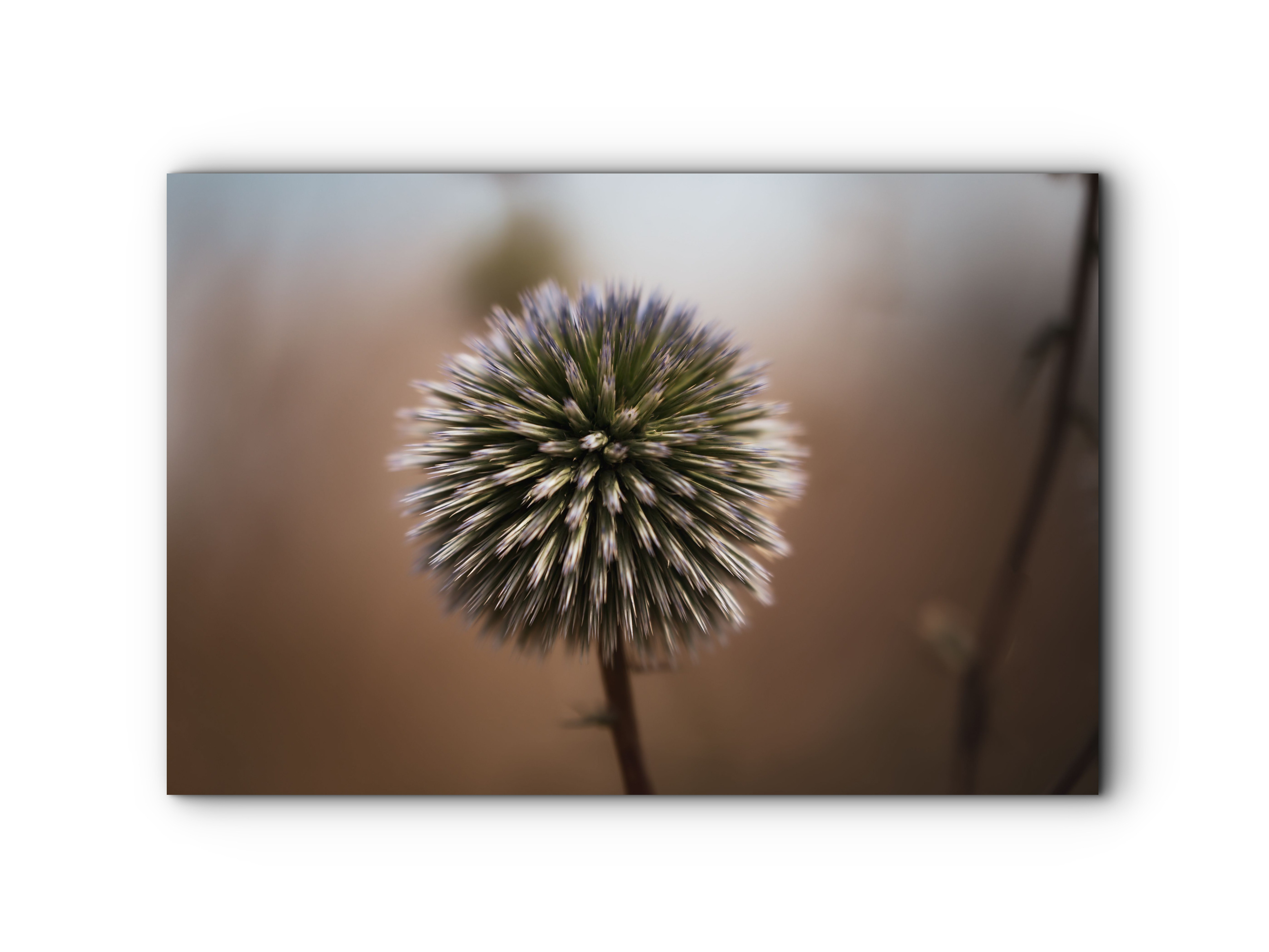 052 | New Year's Eve | 5K Resolution HQ | Open Edition