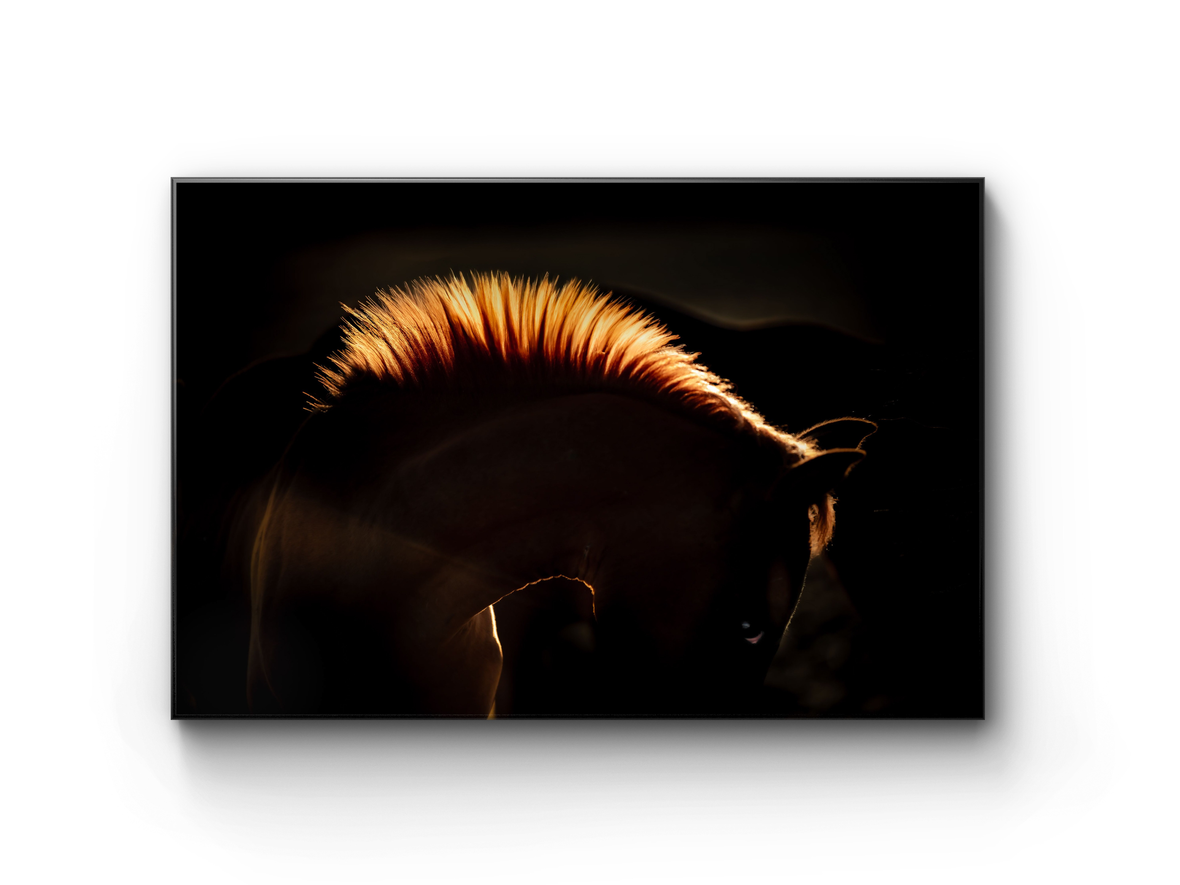 084 | Grace | 10K Resolution HQ | Open Edition