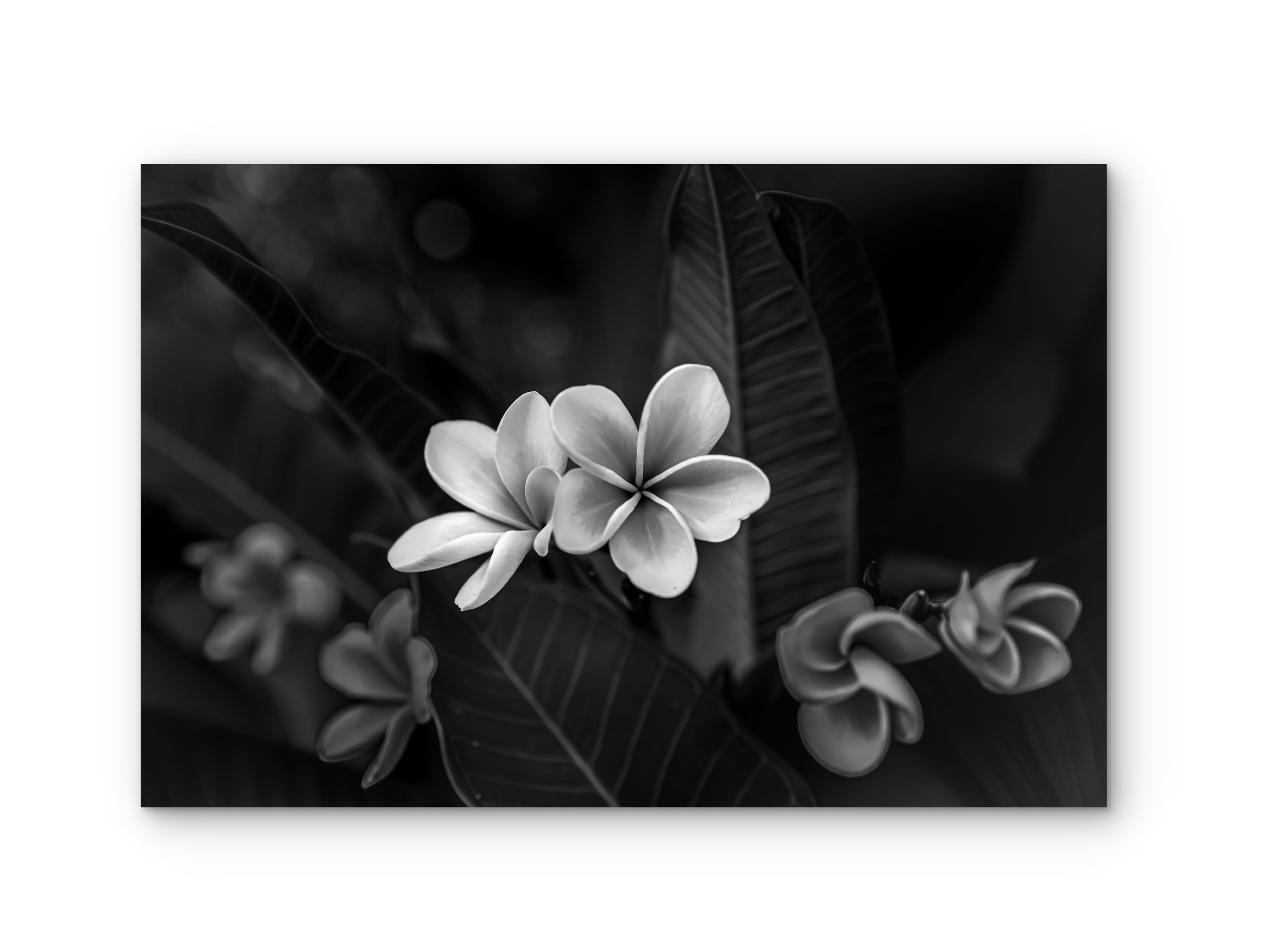 003 | Together | 5K Resolution HQ | Open Edition