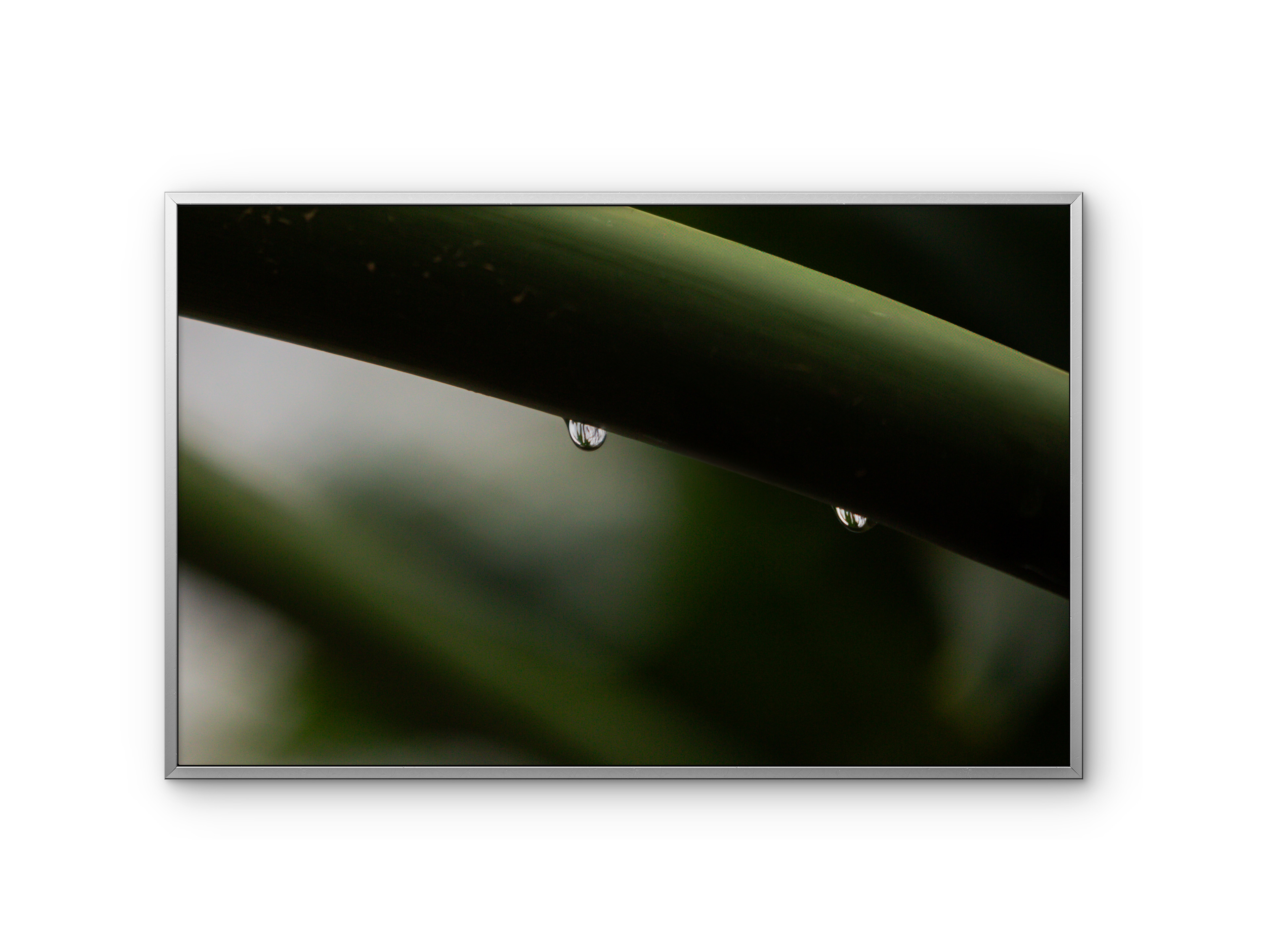 087 | Last ~ | 5K Resolution HQ | Open Edition