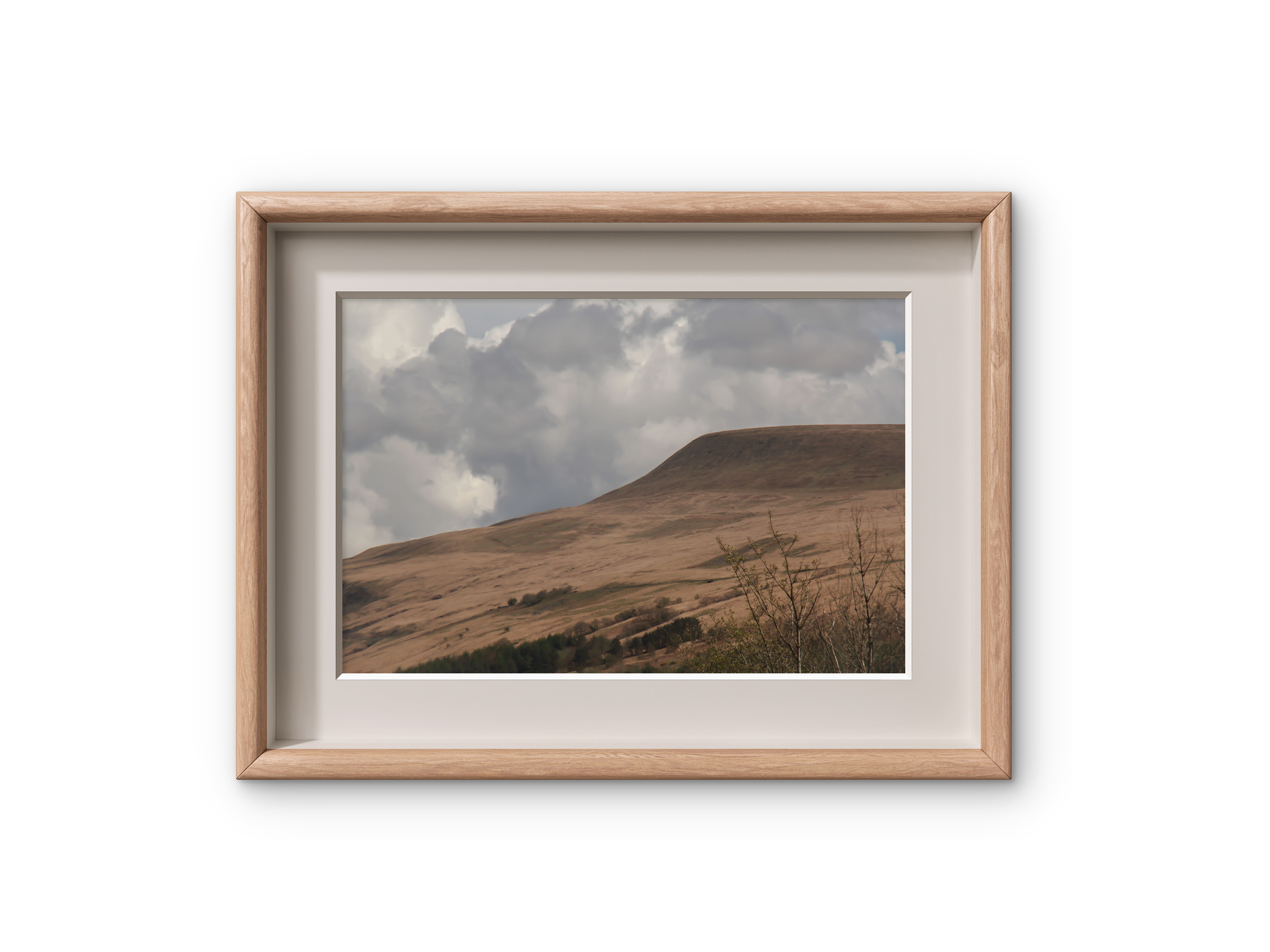 033 | The Cat's Back | 5K Resolution HQ | Open Edition