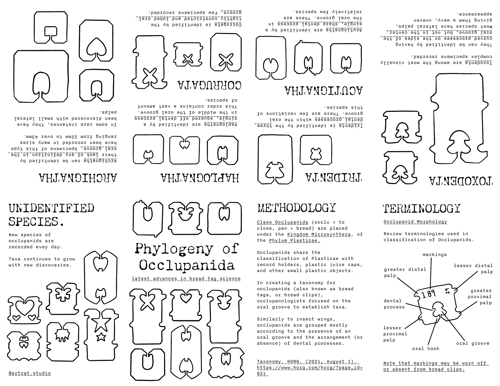 Bread Tag Phylogeny Folded Zine Flatlay