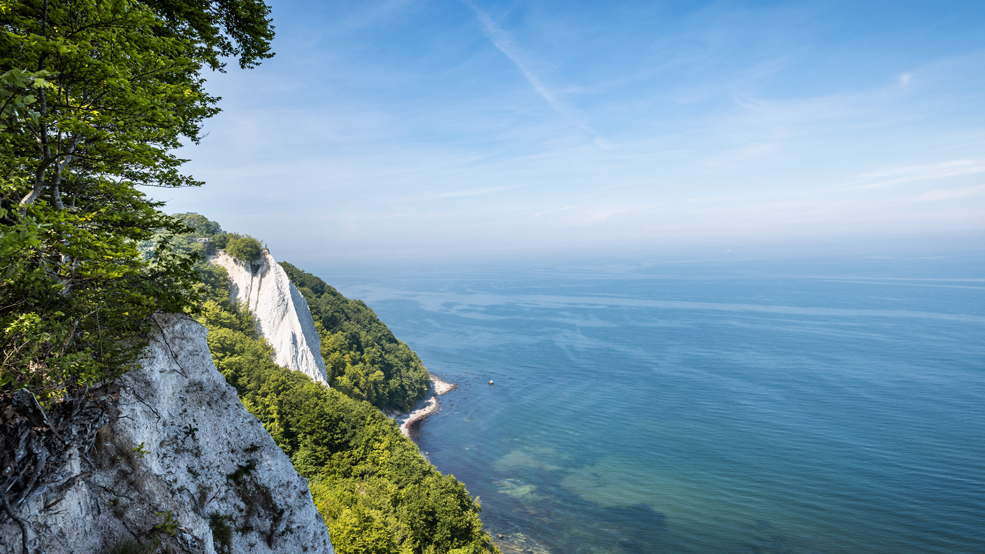 Ausblick auf die weißen Kreidefelsen im Nationalpark Jasmund auf der Insel Rügen mit Blick über die Ostsee und umgeben von grünem Buchenwald.