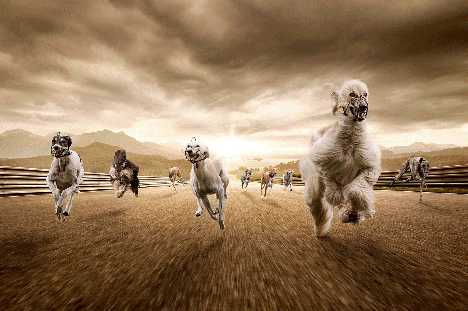 Werbefotografie Bodensee Stefan Kuhn