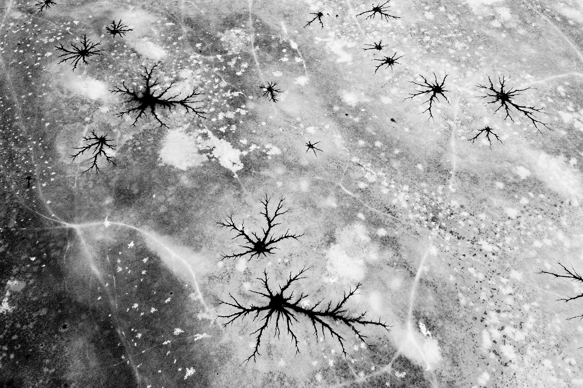 Luftaufnahmen zugefrorener Seen zwischen Abstraktion und Realität. Stefan Kuhn fotografiert aus der Vogelperspektive die schmelzenden Eisoberflächen süddeutscher Seen mit ihrer Drohne und dokumentiert die natürliche Entmaterialisierung in faszinierenden Mustern und Strukturen.