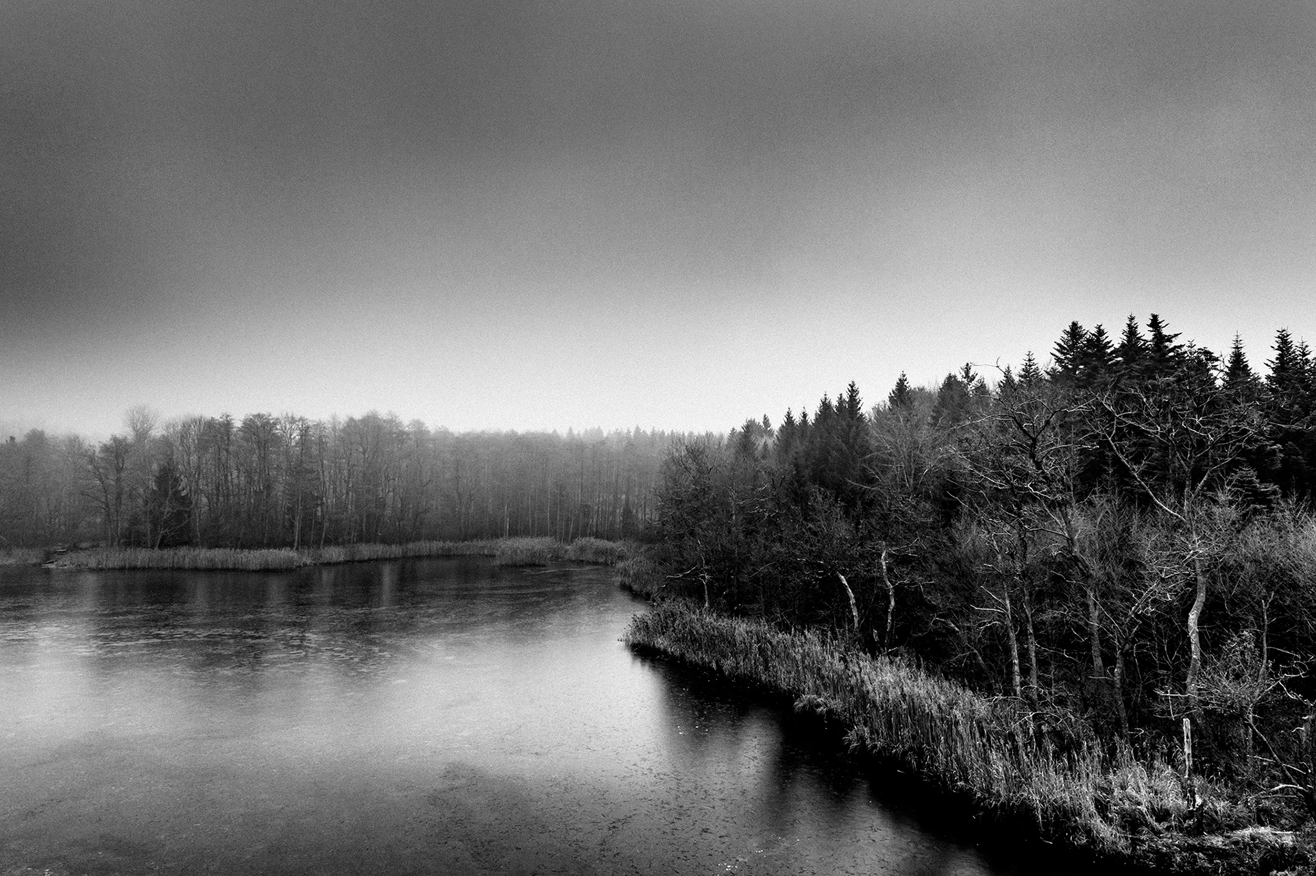 Minimalistische Schwarzweiß-Fotografie aus der Serie IM NEBEL – nebelverhangene Seelandschaft mit Baumsilhouetten im diffusen Morgenlicht von Stefan Kuhn