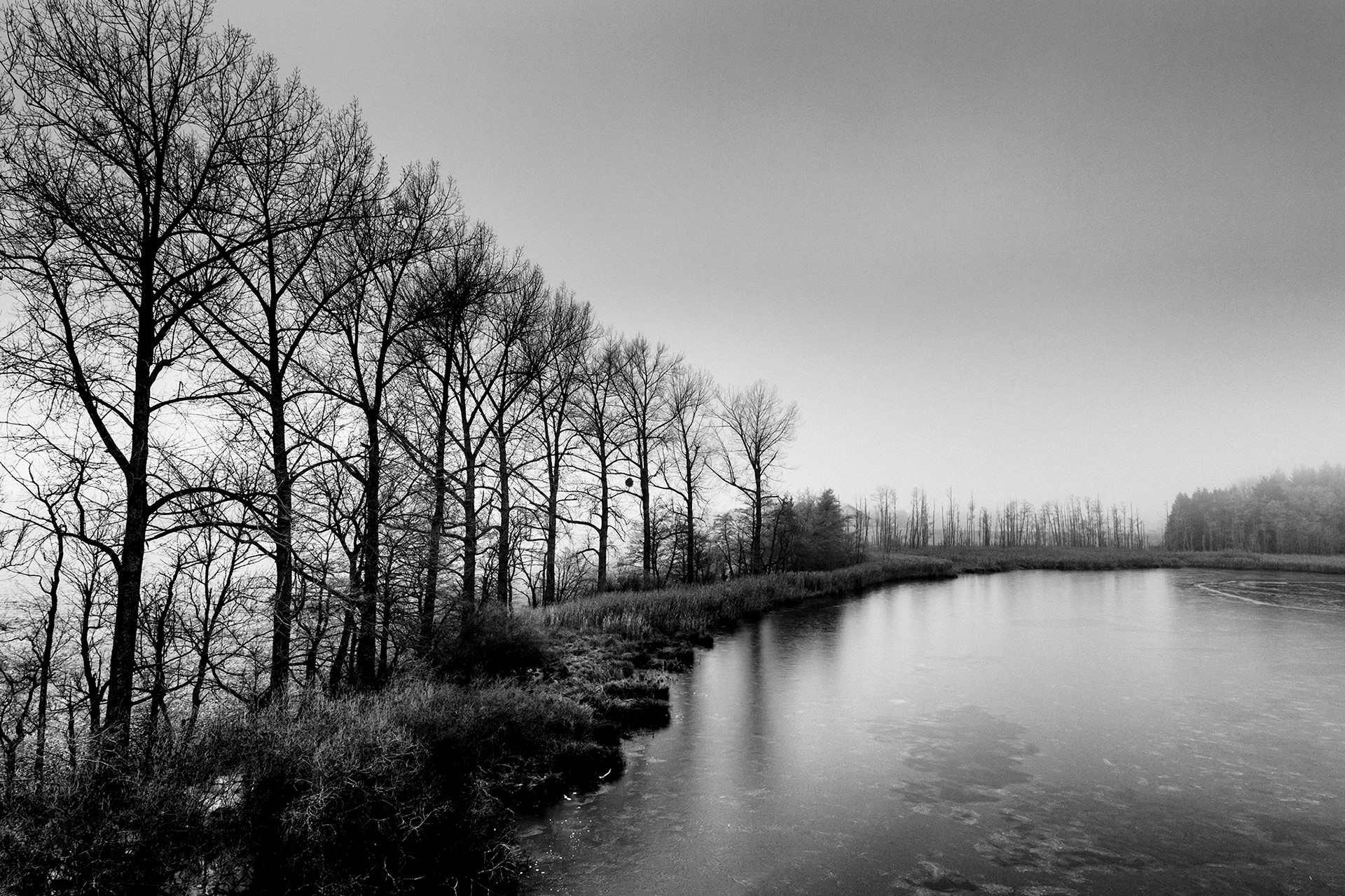 Minimalistische Schwarzweiß-Fotografie aus der Serie IM NEBEL – nebelverhangene Seelandschaft mit Baumsilhouetten im diffusen Morgenlicht von Stefan Kuhn