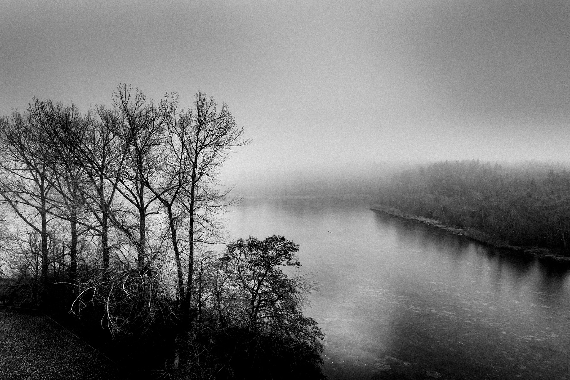 Minimalistische Schwarzweiß-Fotografie aus der Serie IM NEBEL – nebelverhangene Seelandschaft mit Baumsilhouetten im diffusen Morgenlicht von Stefan Kuhn