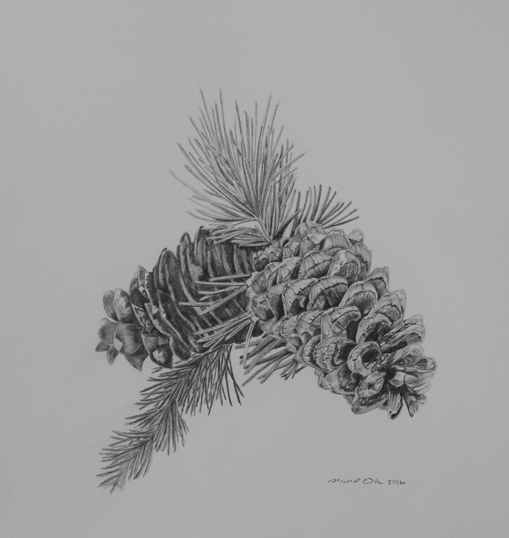 LImber Pine Cone v2