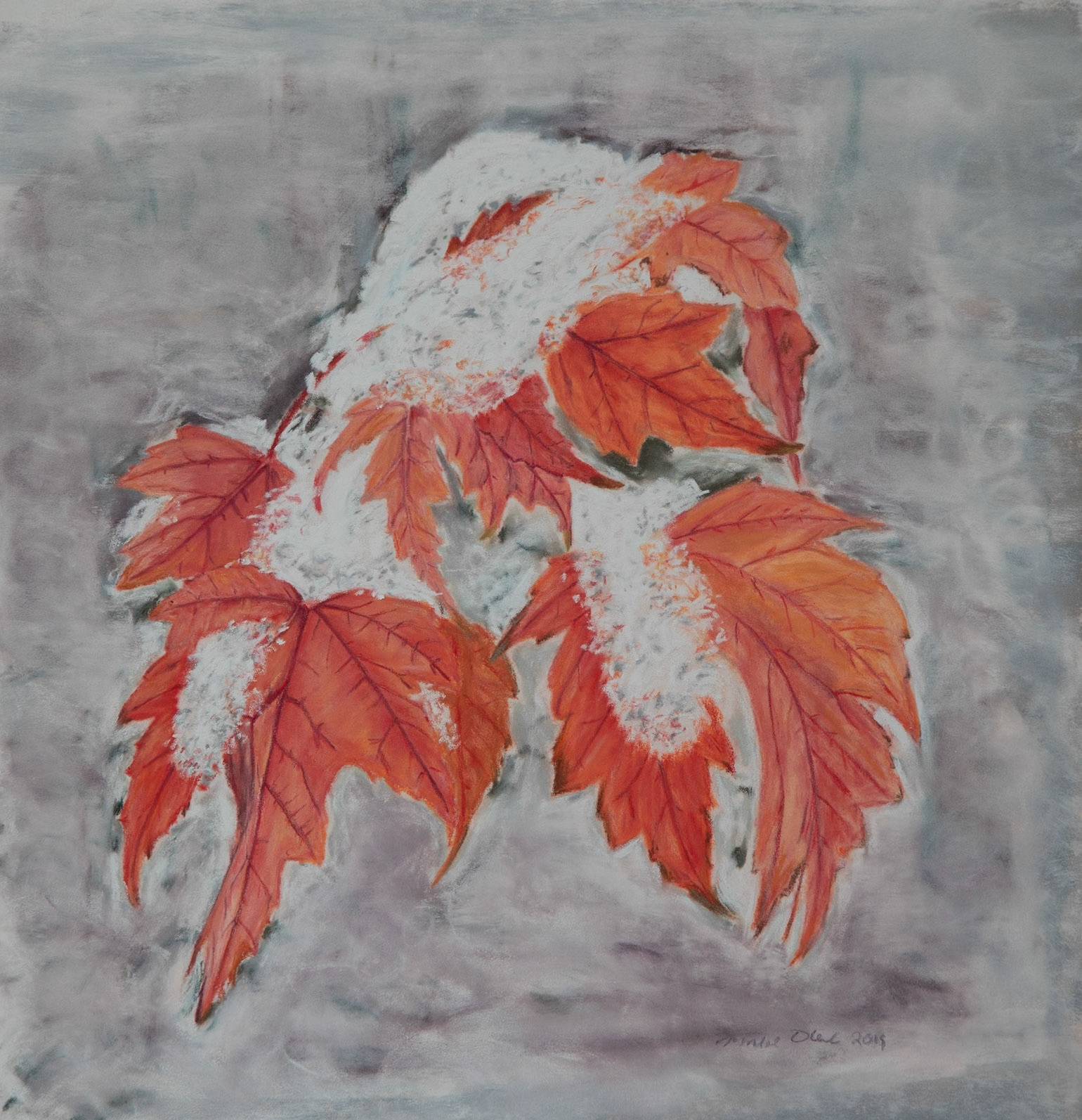 Snow on Maple Leaves