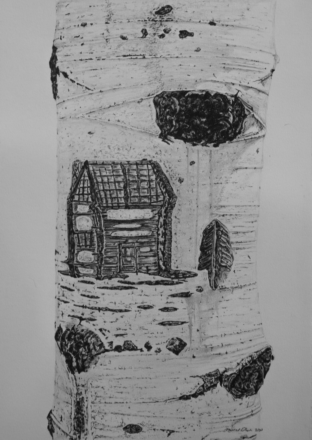 Arborglyph #12, Johnstone Creek (Sold)