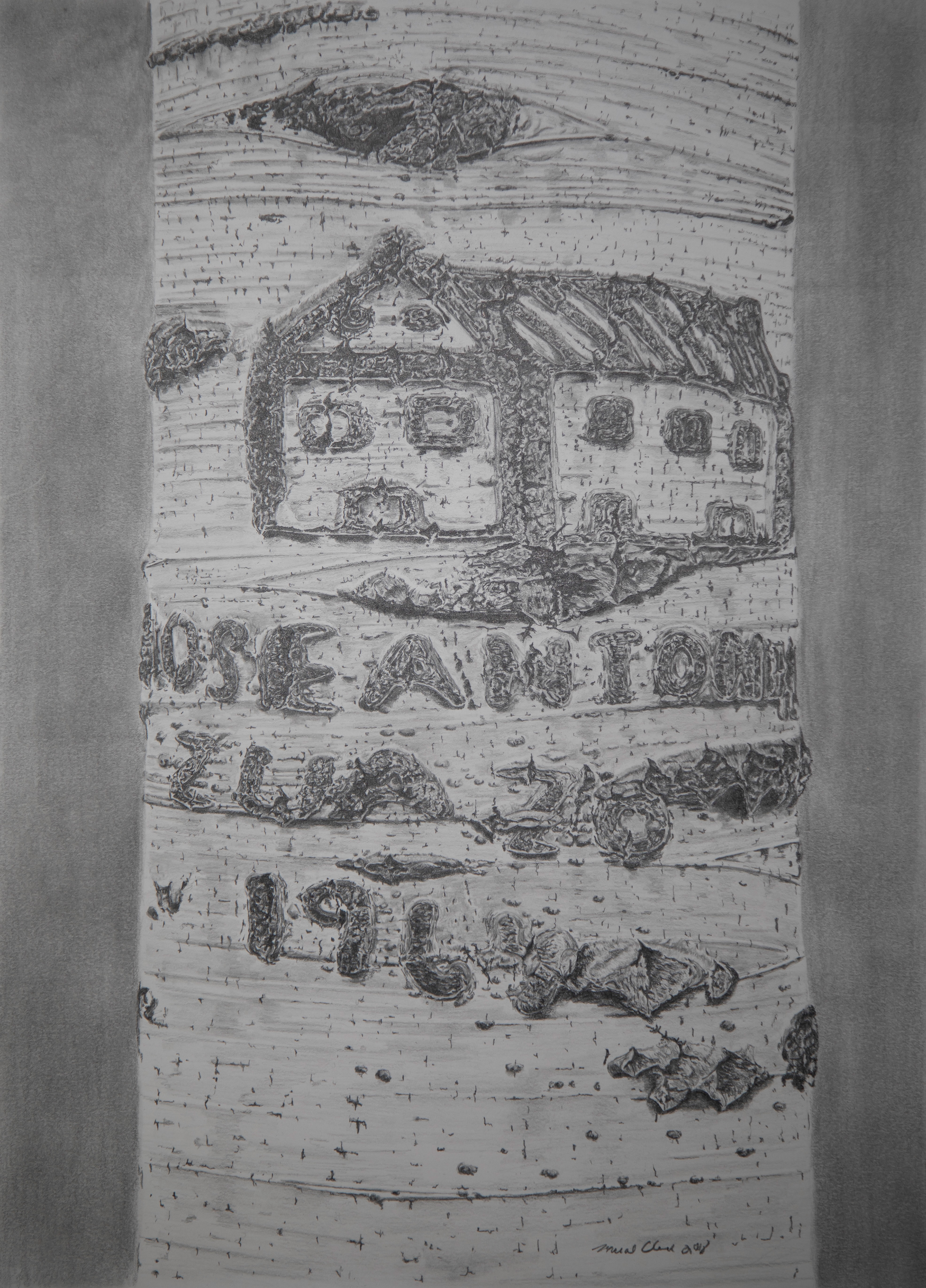 Arborglyph #4, Neal Canyon