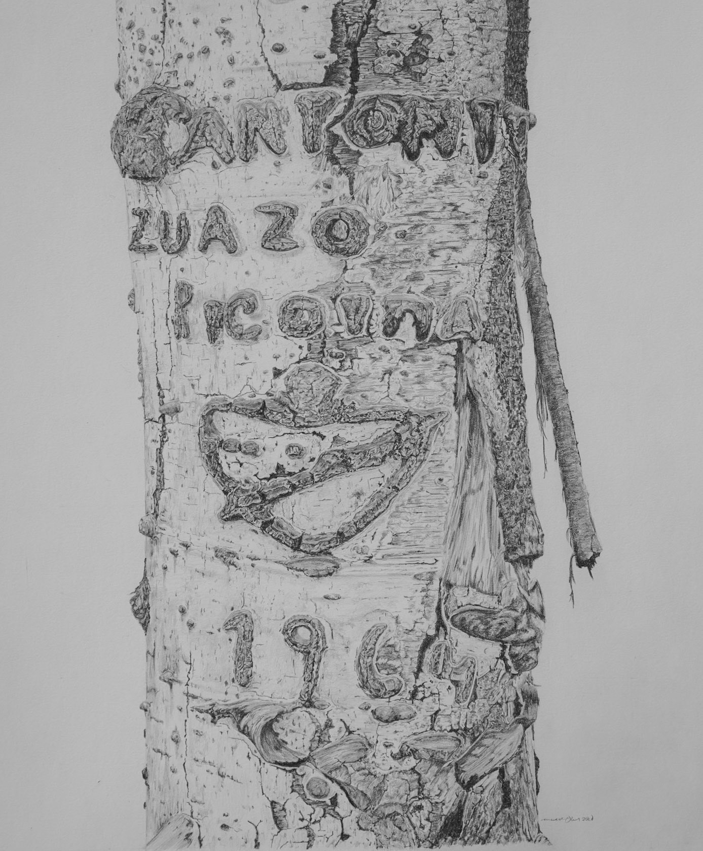 Arborglyph #11, Neal Canyon