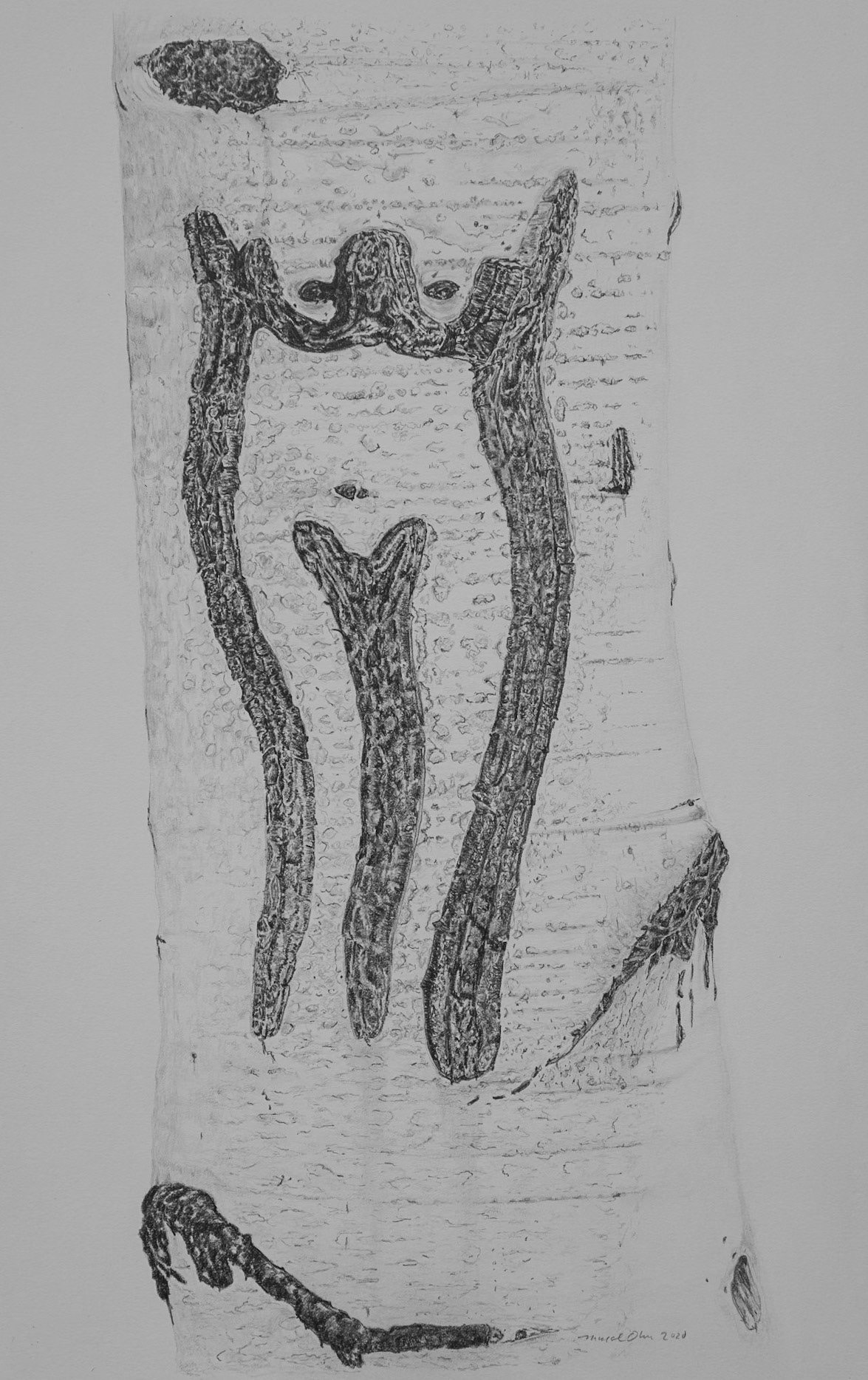 Arborglyph #10, Eagle Creek