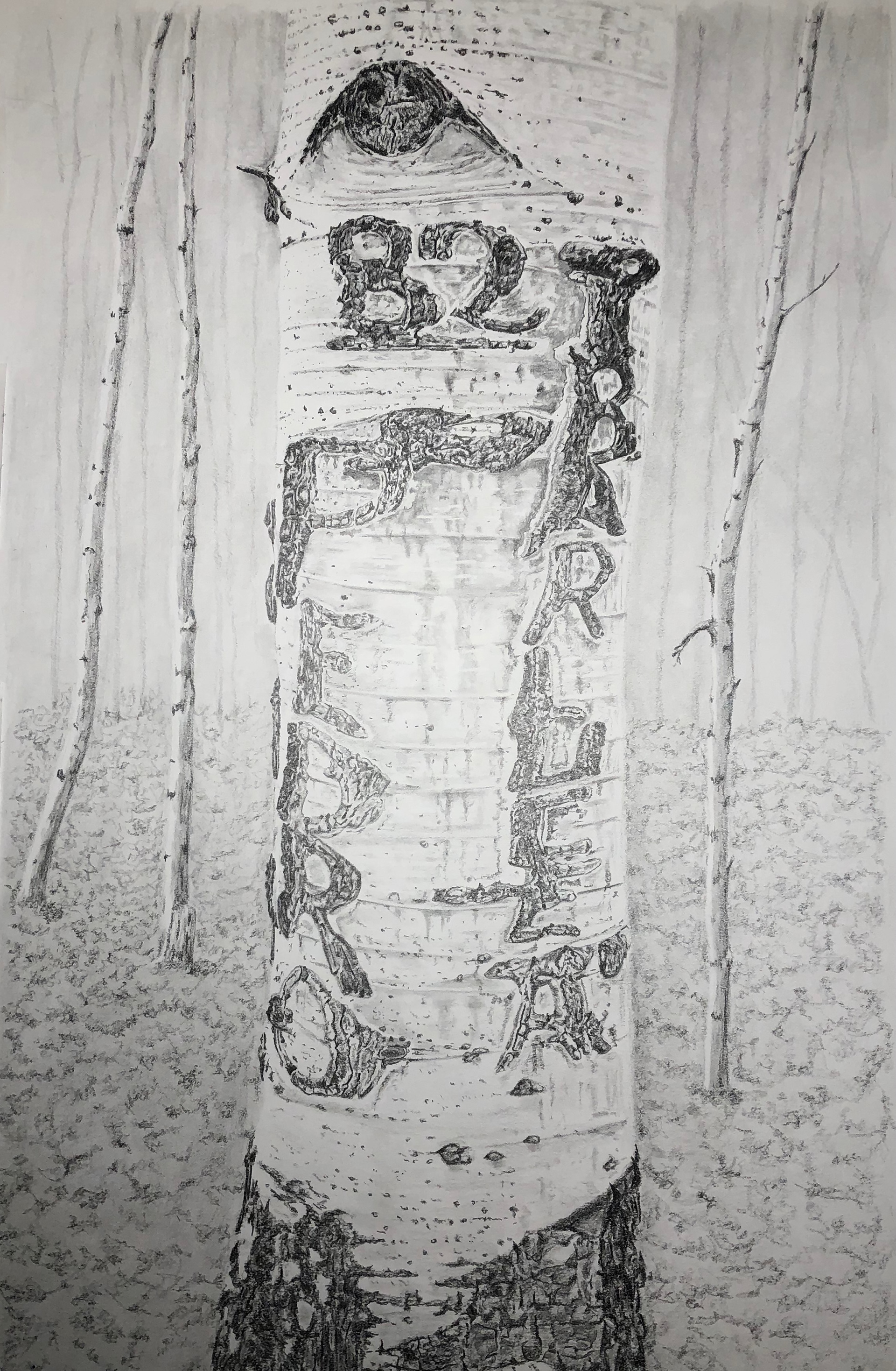 Arborglyph #2 Hyndman Creek