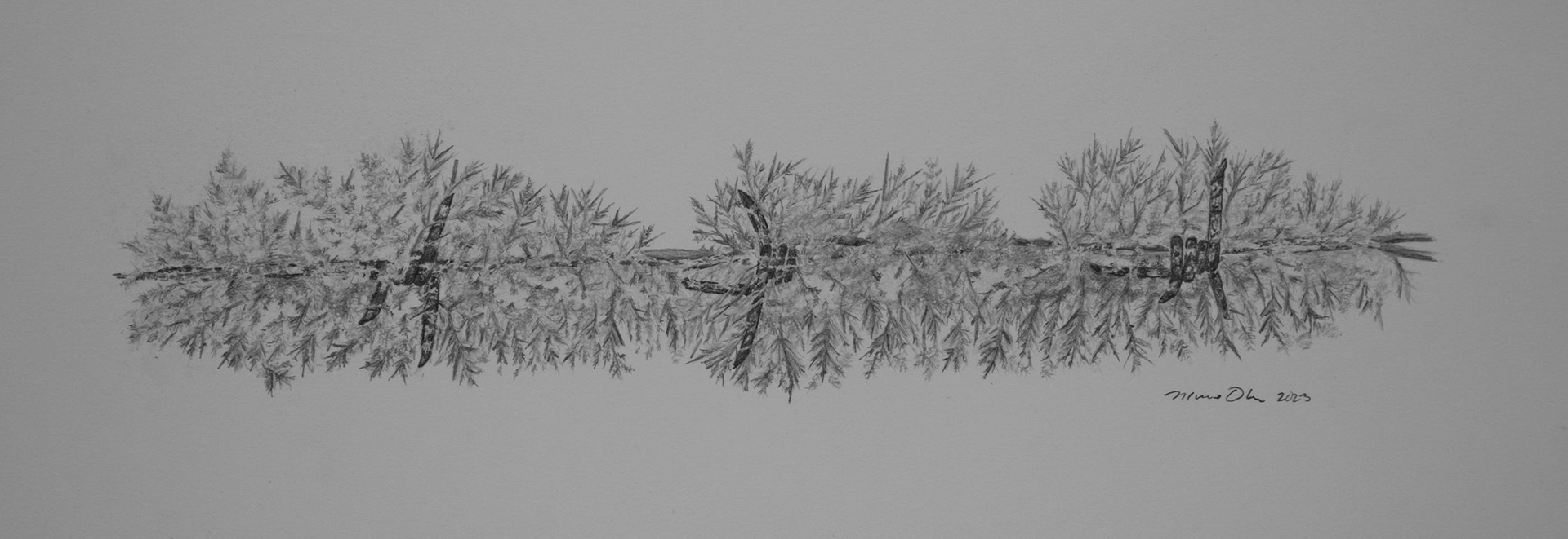 Hoar Frost on Barbed Wire