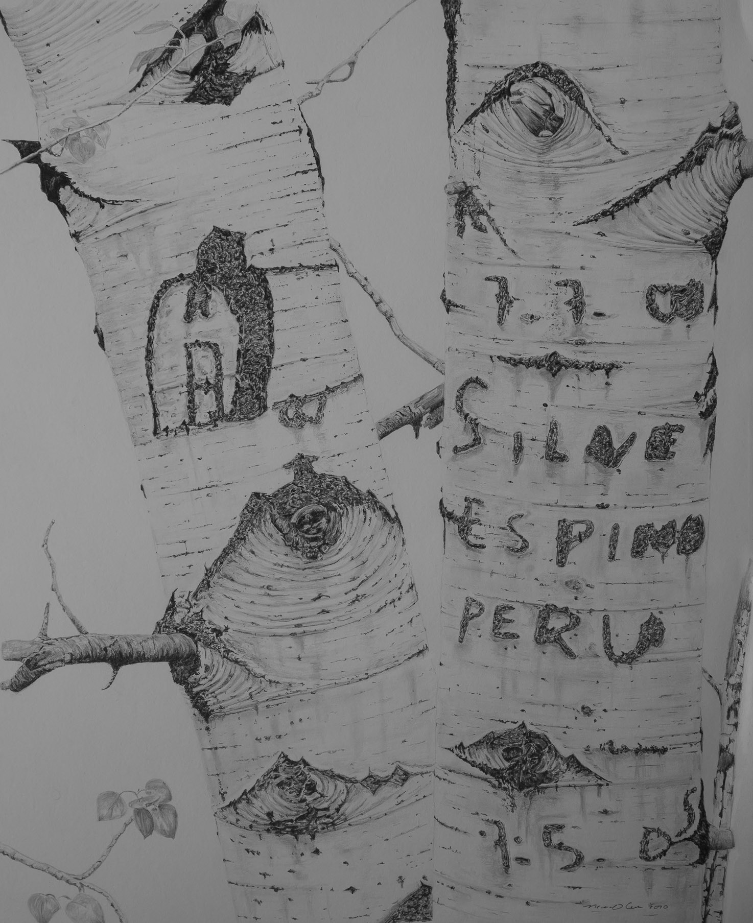 Arborglyph #9, Eagle Creek