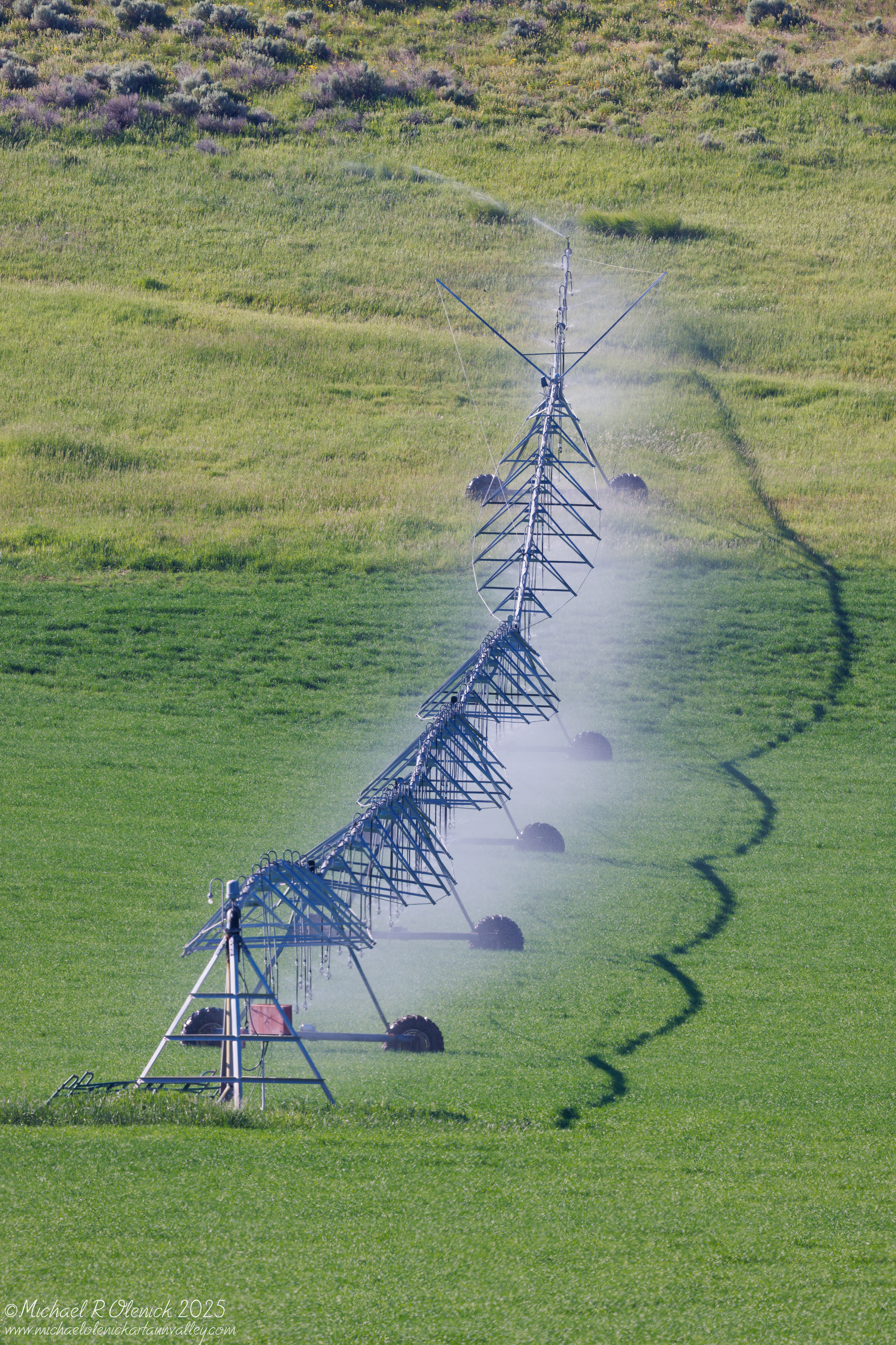 Irrigation
