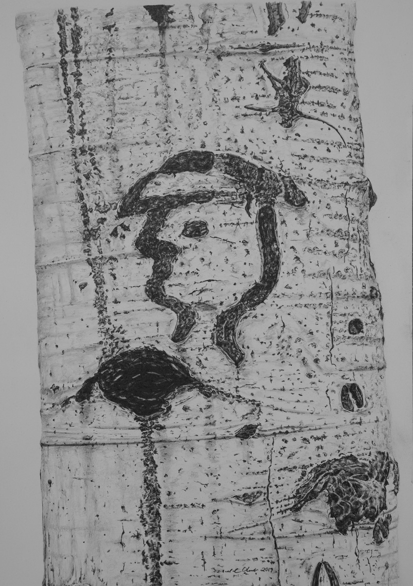 Arborglyph #8, Johnstone Creek