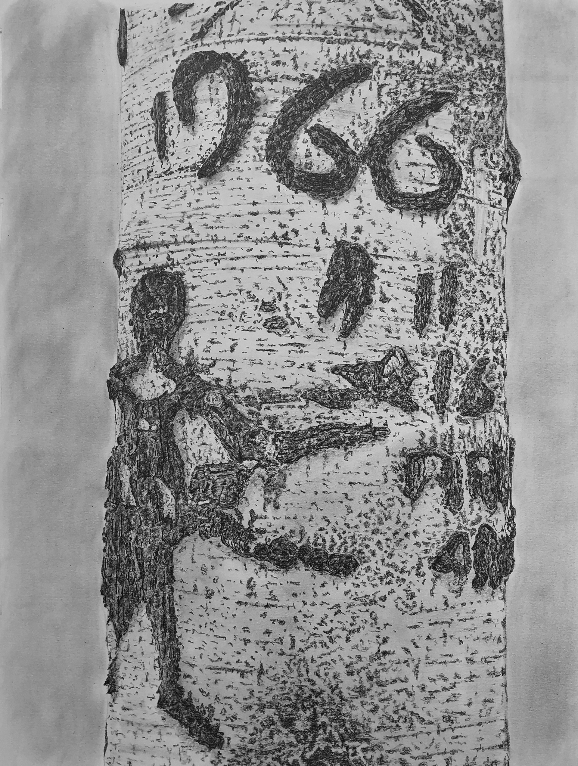 Arborglyph #3, Colorado Gulch