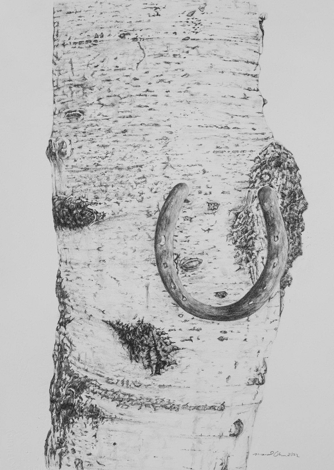 Arborglyph #17, Muldoon Canyon