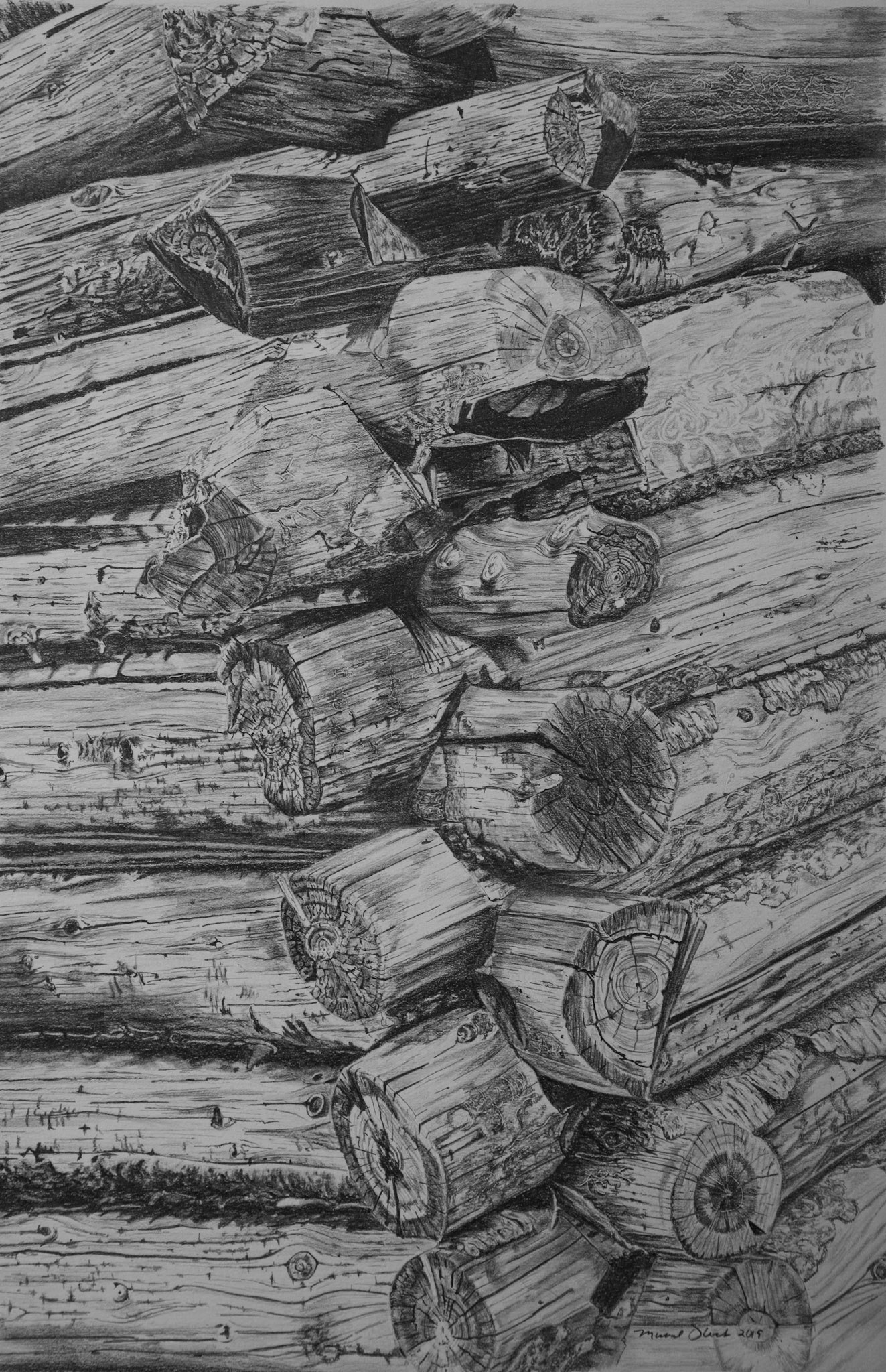 Old Log Mining Cabin Detail, Phi Kappa Creek