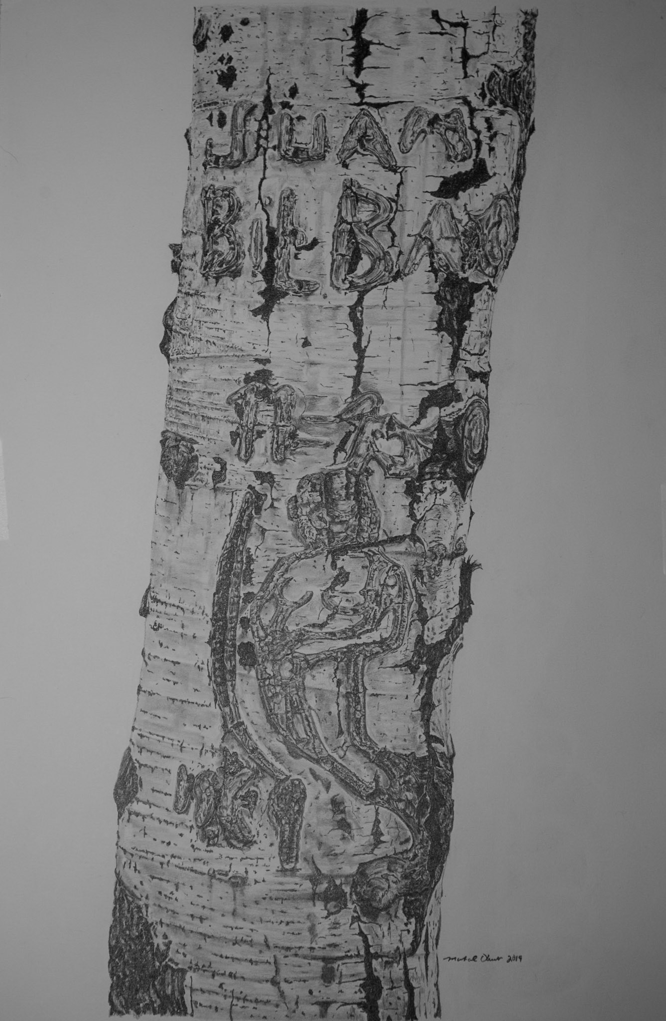 Arborglyph #6, Left Fork Boulder Creek