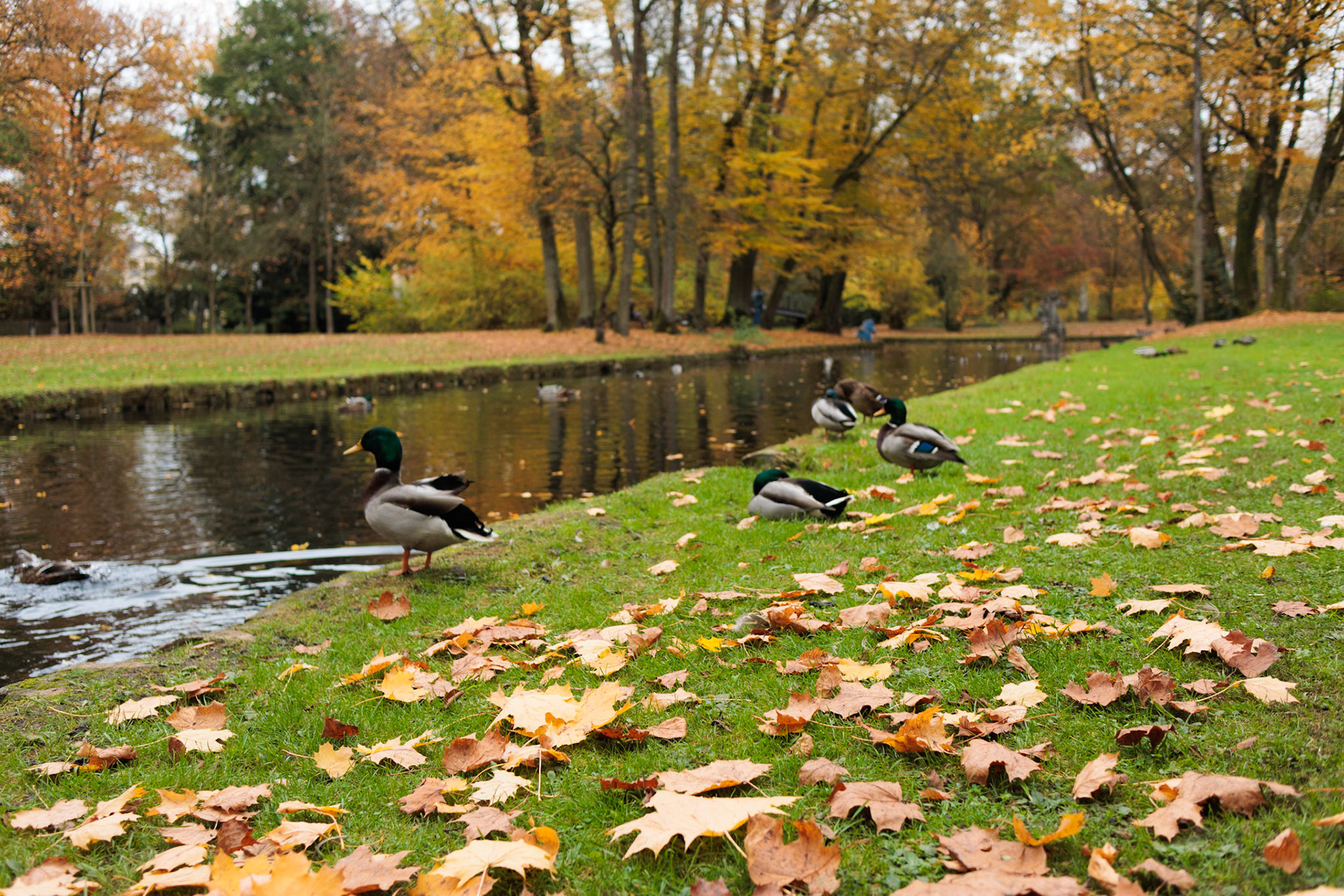 Hofgarten, Neuschloss, Bayreuth