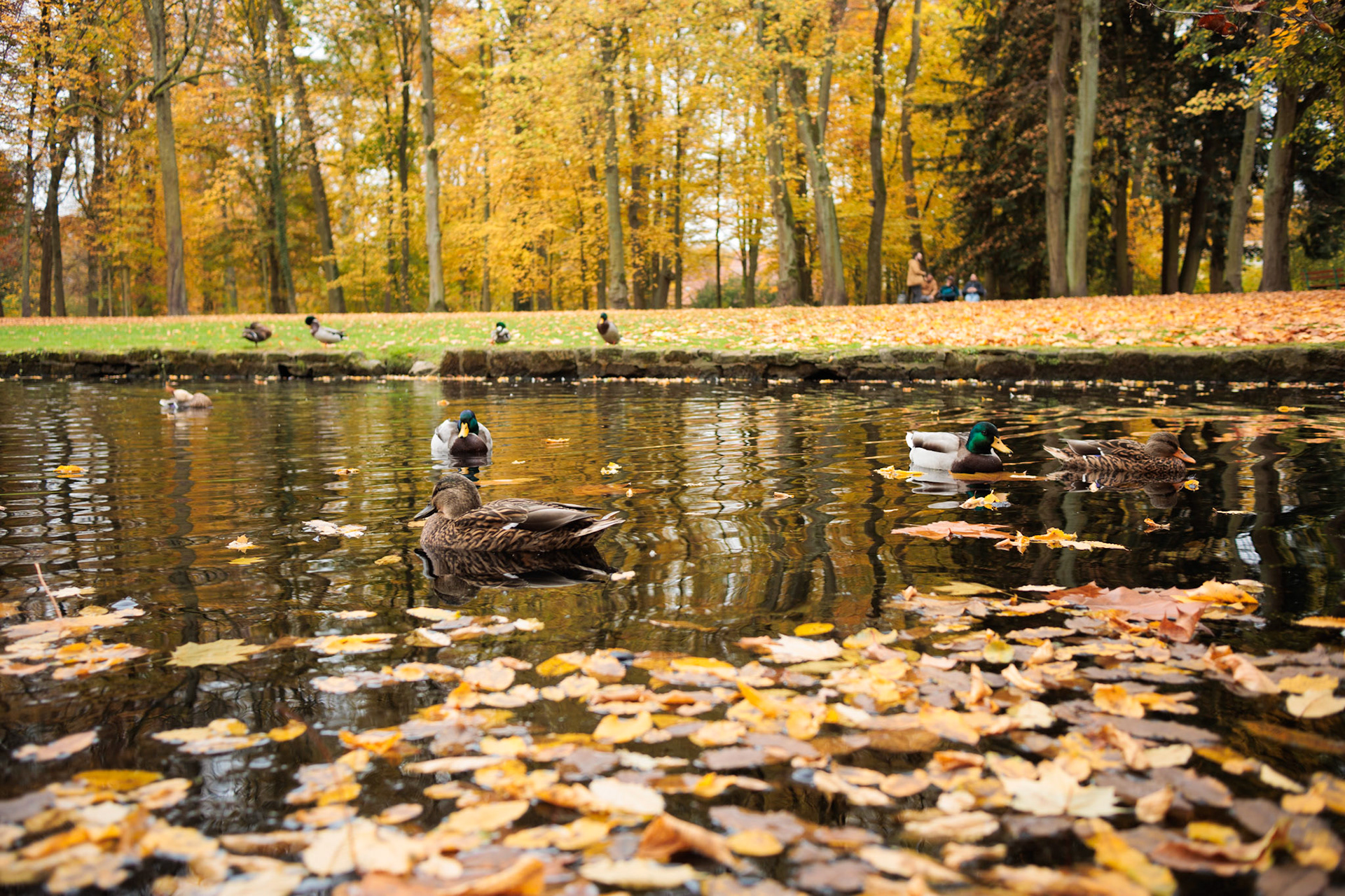 Hofgarten, Neuschloss, Bayreuth