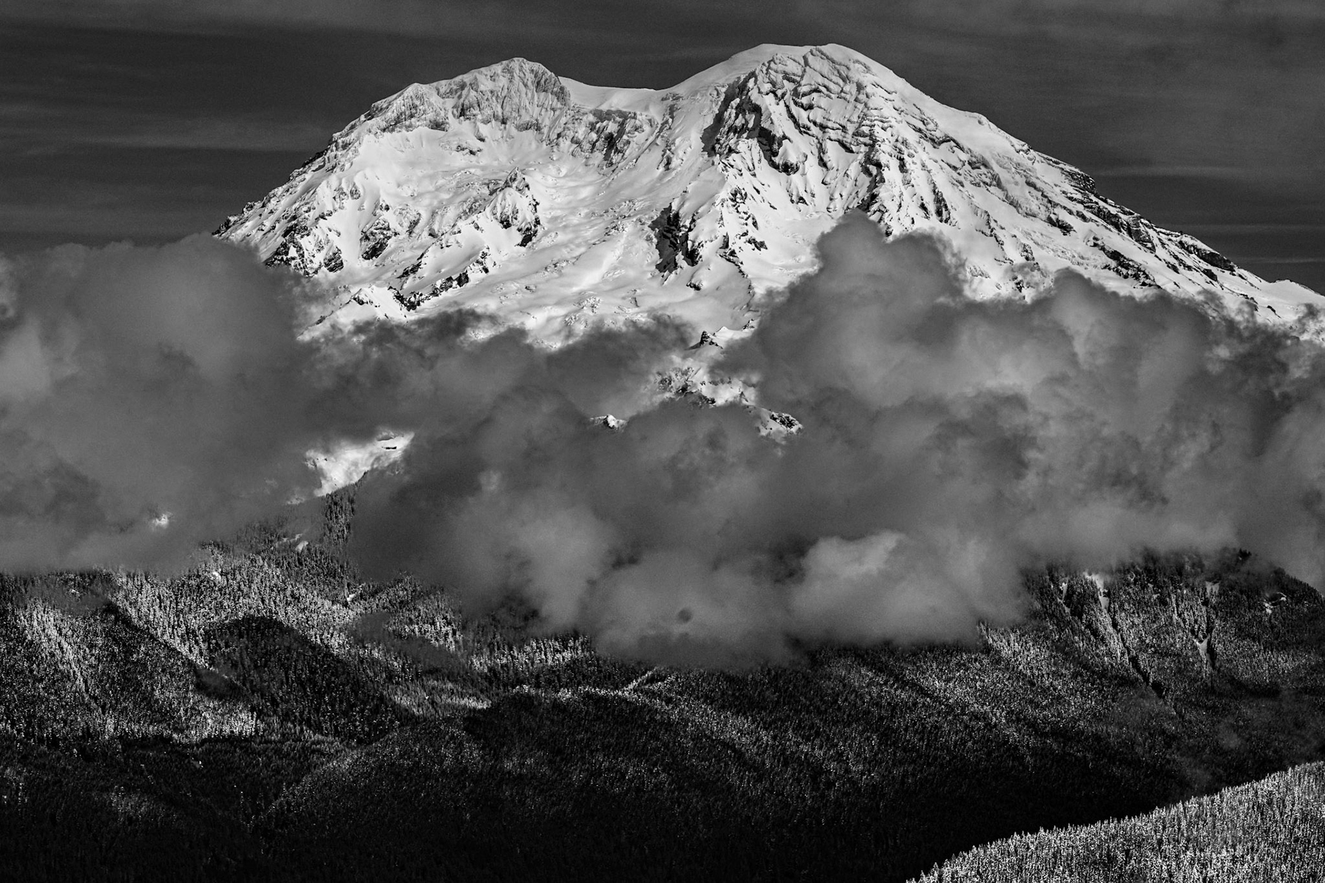 Mt. Rainier from high Hut