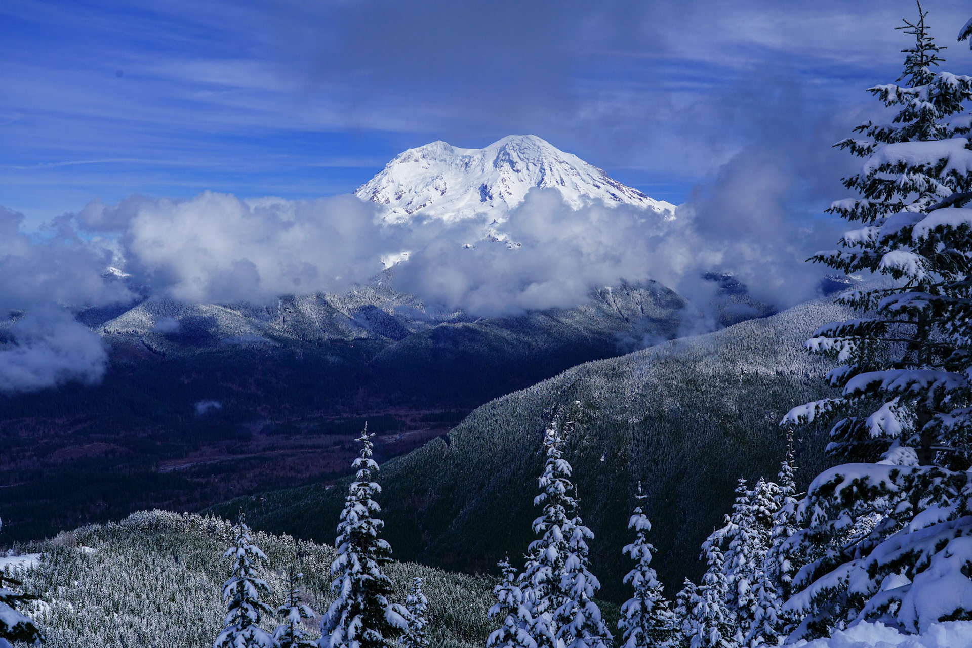 Mt. Rainier from High Hut
