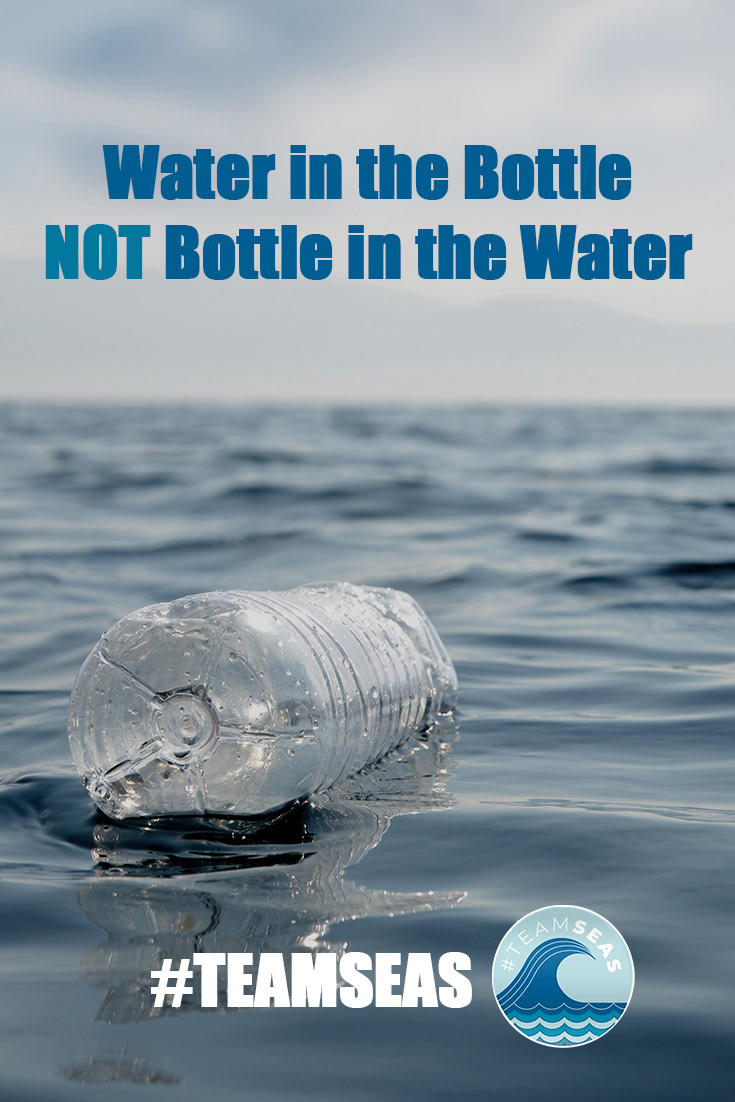 Pollution Awareness Campaign: Vertical Design