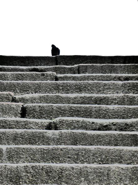 Mont Saint-Michel, Normandie, France, février 2020 / Normandy, France, February 2020
