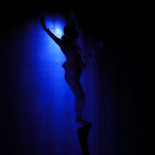 Retrouvailles chorégraphiées au Harpa 