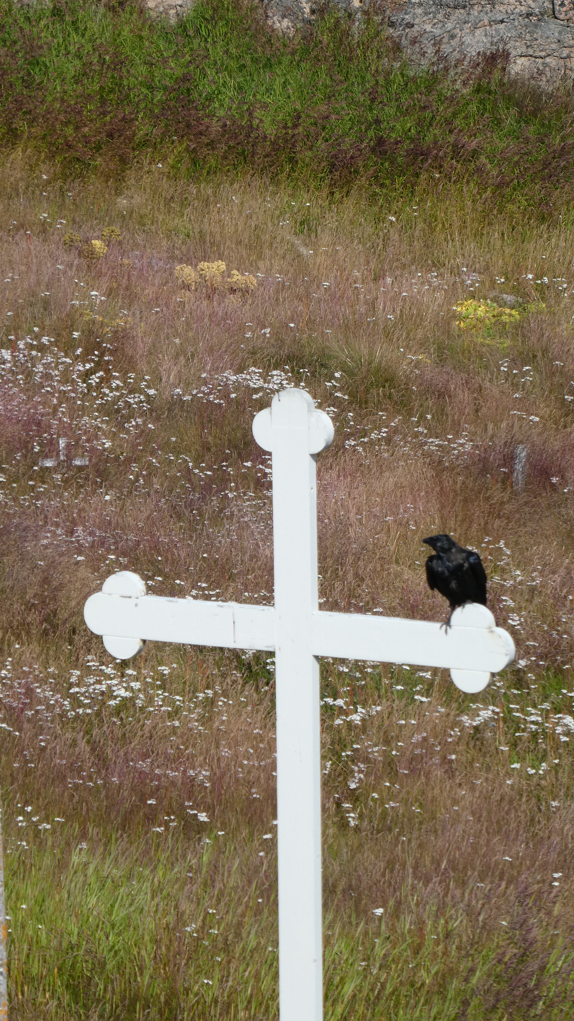 Qaqortoq, Groenland, août 2019 / South Greenland, August 2019