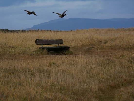 Retrouvailles côtières Islande, Reykjavik, Seltjarnarnes